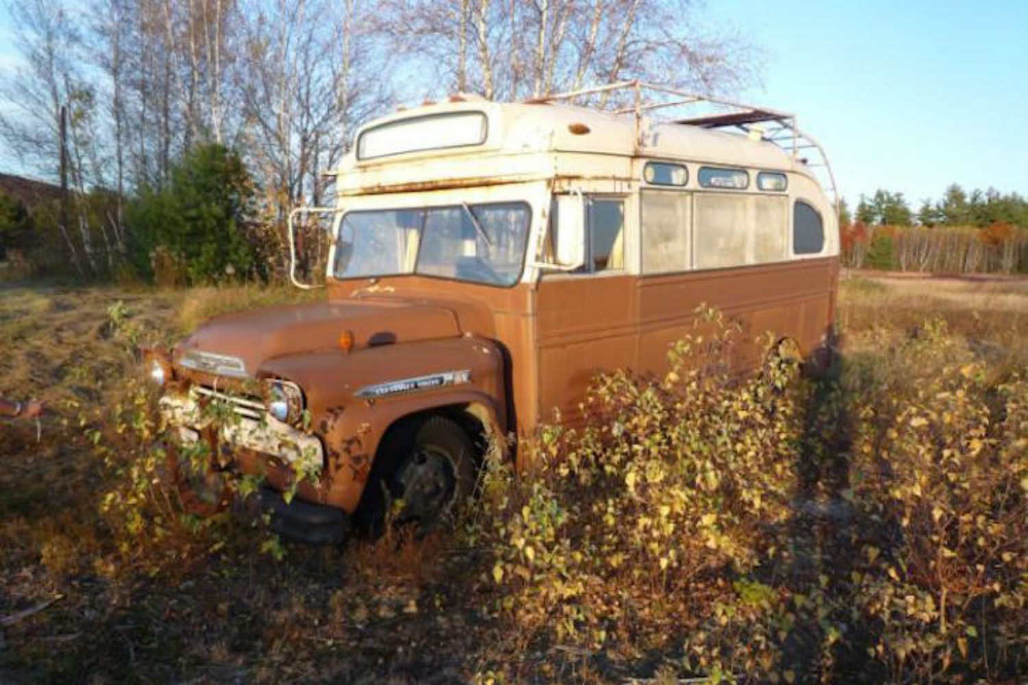 coolest bus to mobile home conversions vikingbusbefore