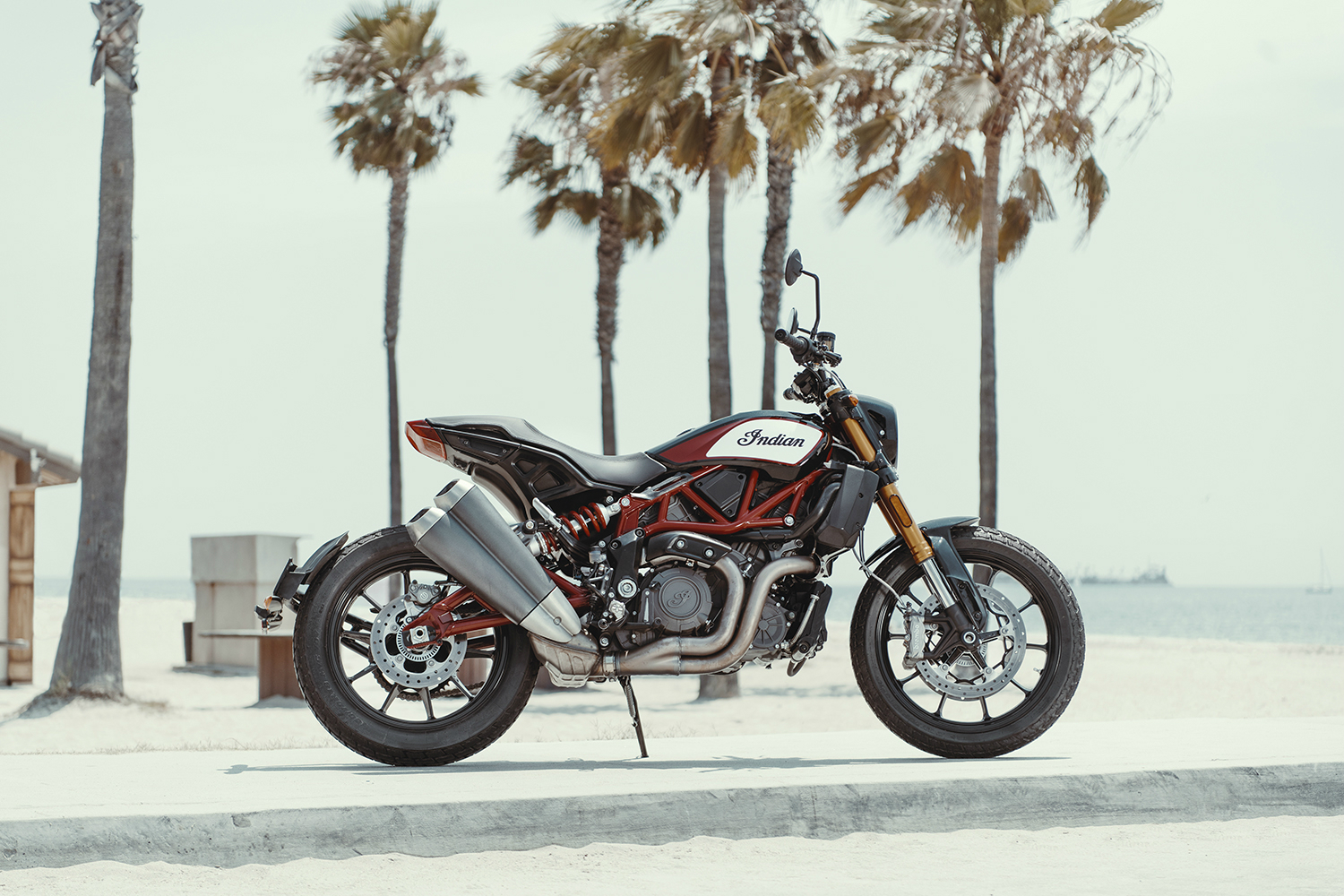 2019 indian ftr 1200 s 3