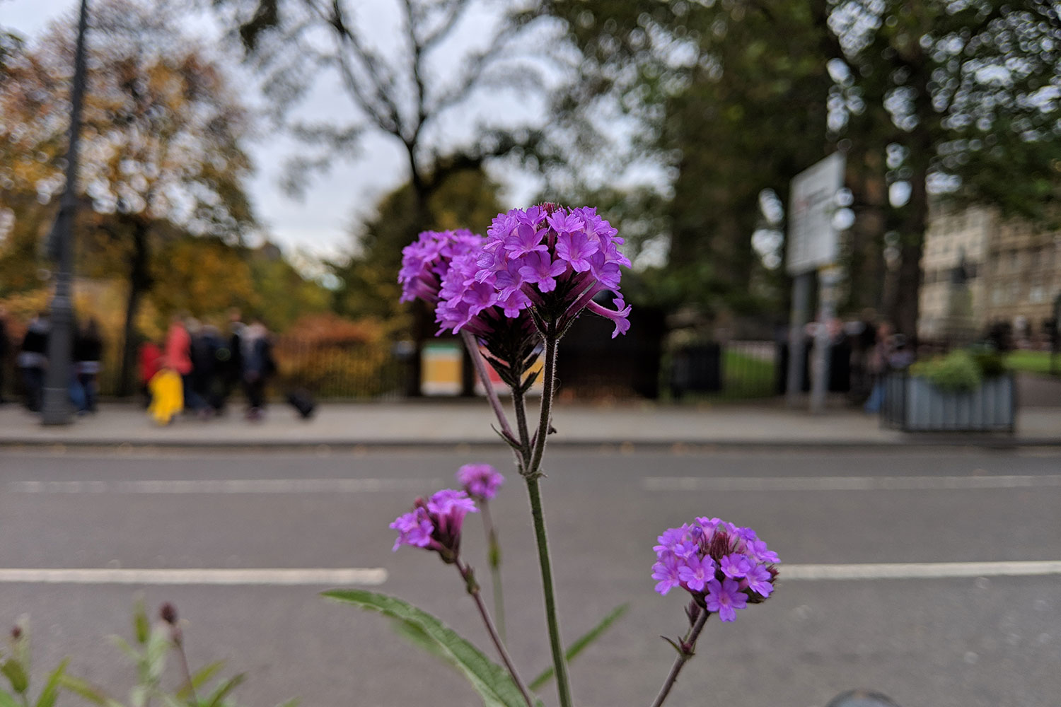 google pixel 3 review camera sample gallery 9