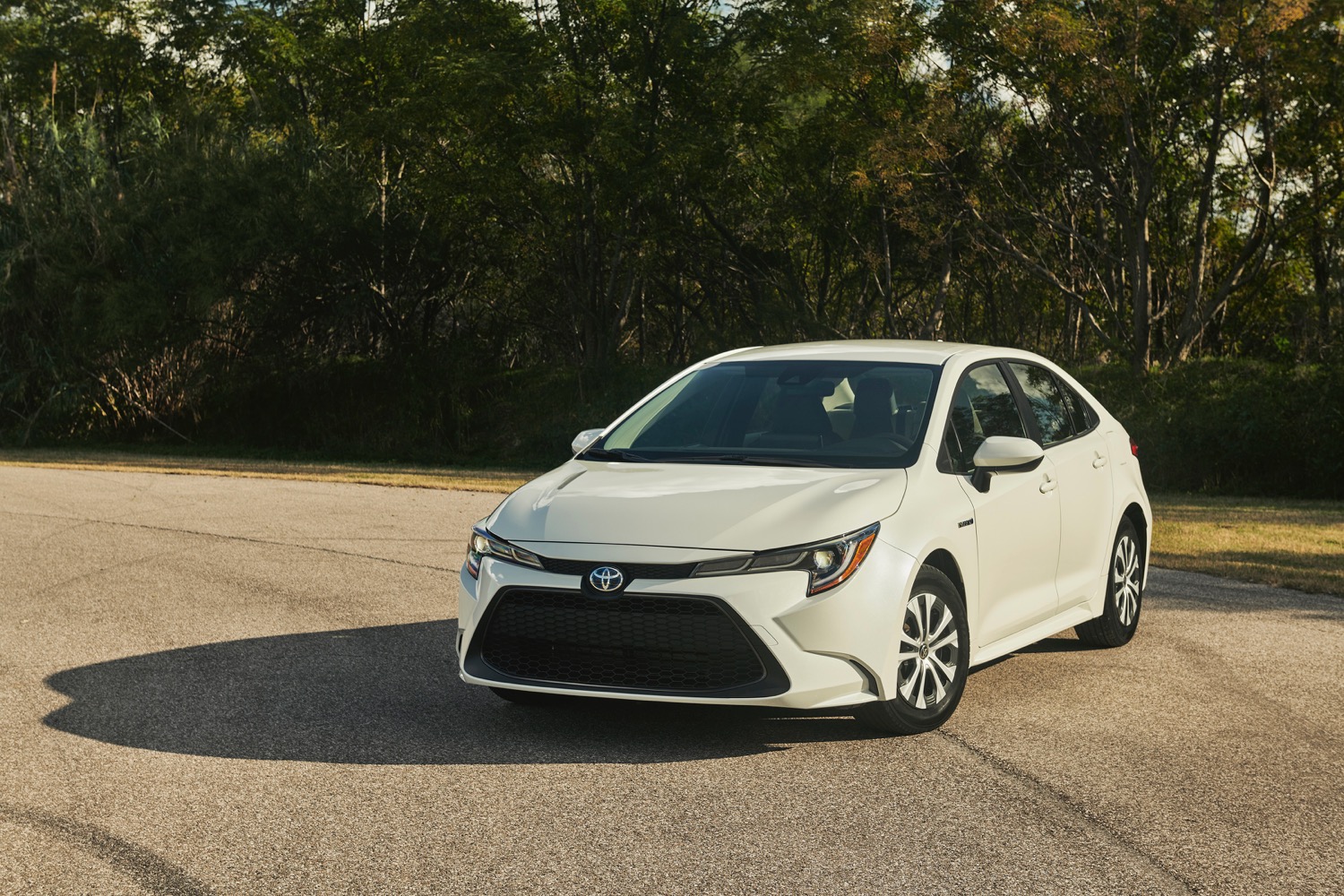 2020 Toyota Corolla Hybrid