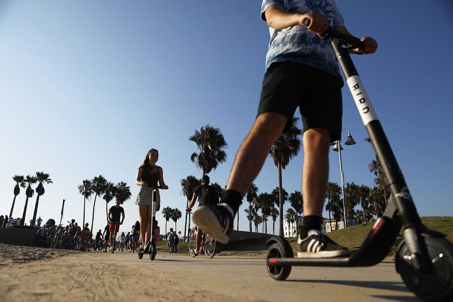 people riding bird electric scooters