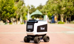 kiwibot