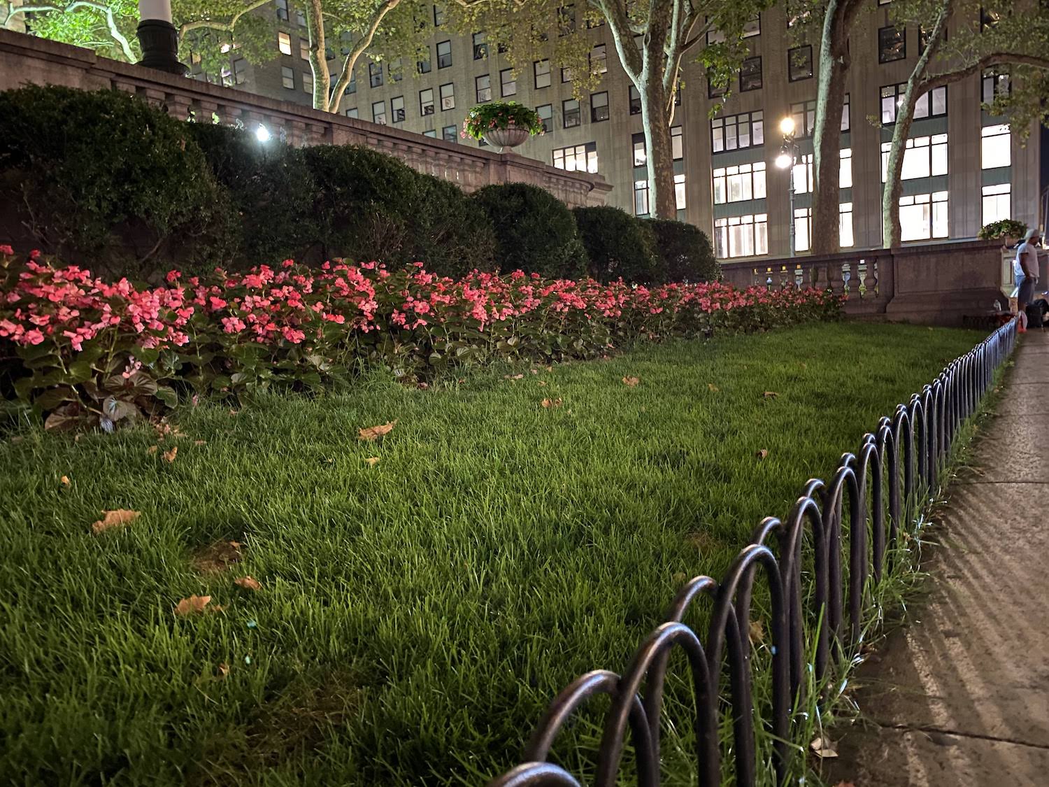 iphone 11 pro review versus night mode flowers on