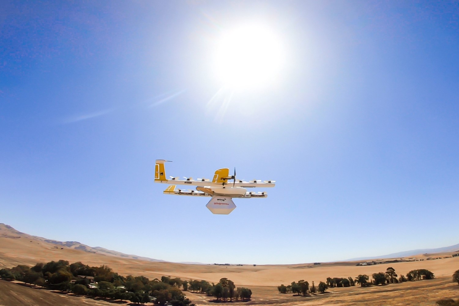 A Wing Delivery Drone