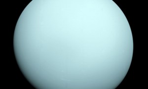 Voyager 2 took this image as it approached the planet Uranus on Jan. 14, 1986. The planet's hazy bluish color is due to the methane in its atmosphere, which absorbs red wavelengths of light.