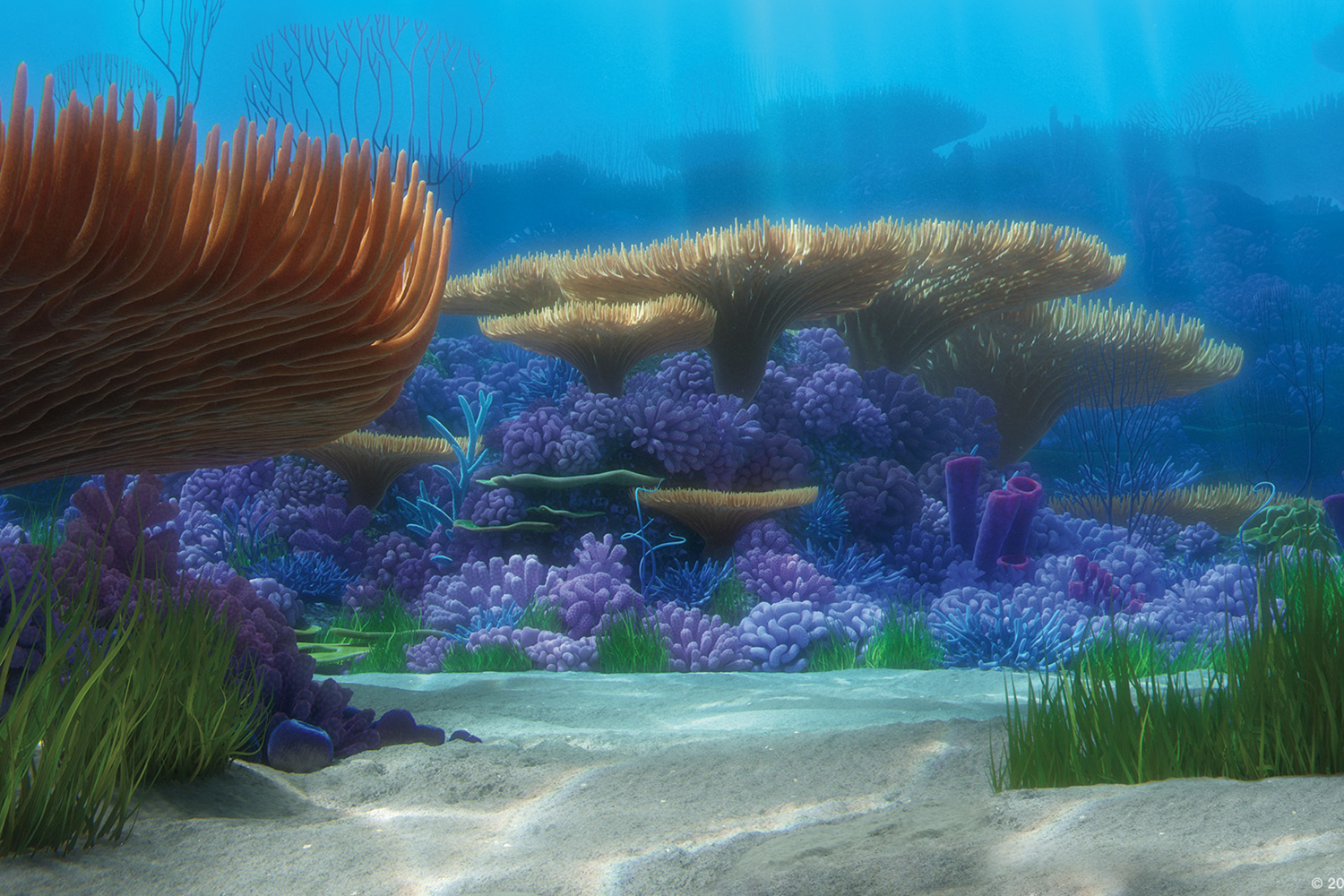 the best zoom backgrounds pixarfindingnemo