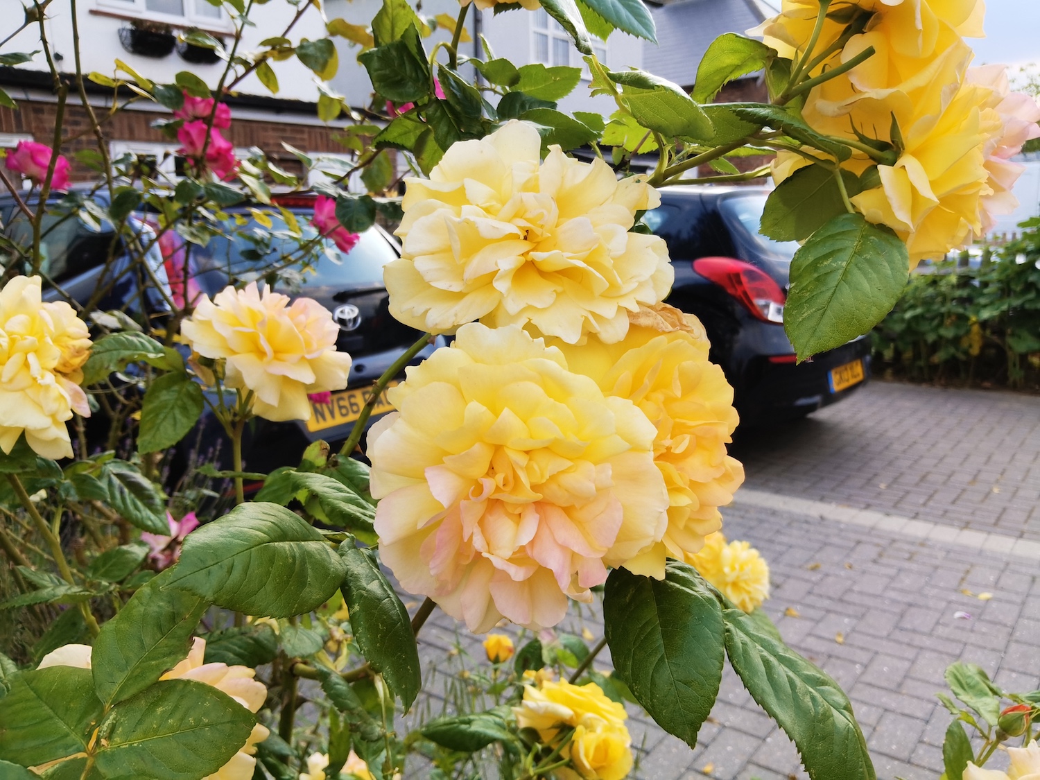 Huawei MatePad Pro photo sample