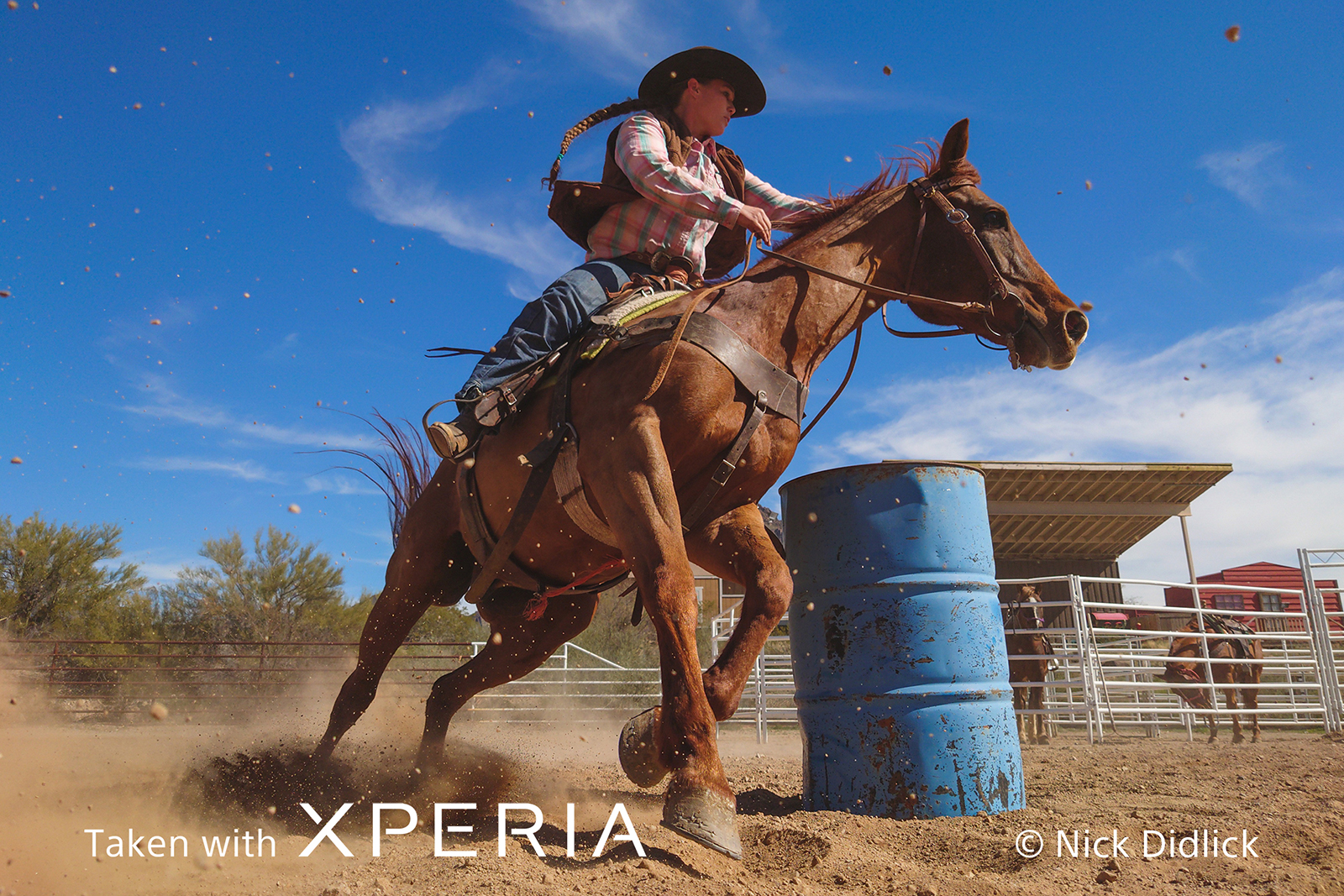 sony xperia 1 ii camera launch date nick takenwithxperia horse