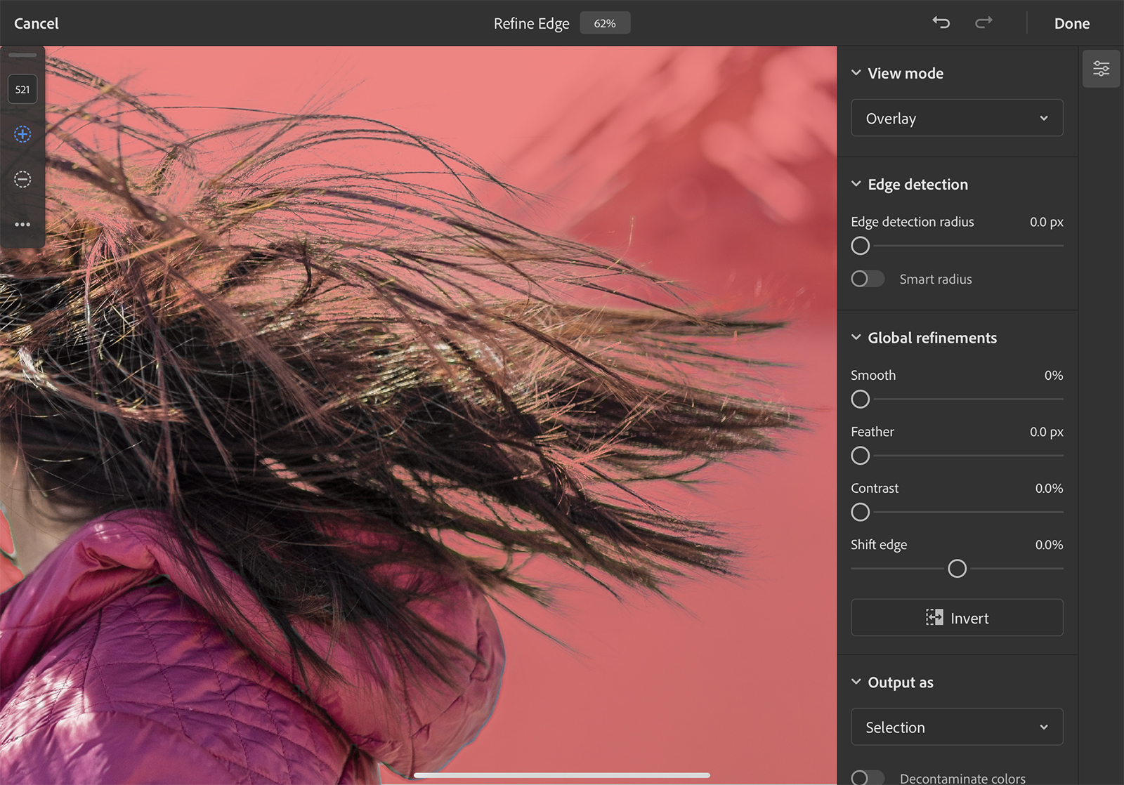 how to use photoshop for ipad refine edge hair1 copy