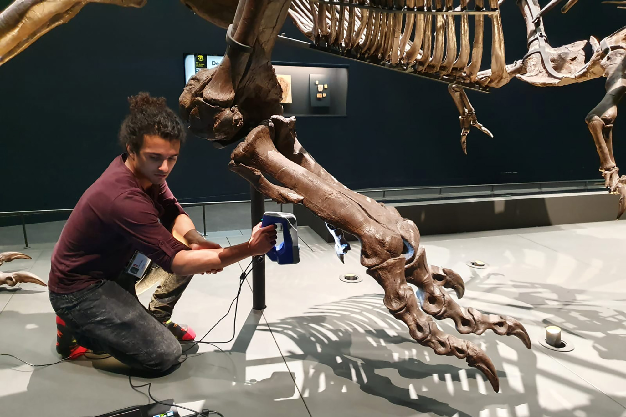 man assembling a 3D printed tyrannosaurus rex