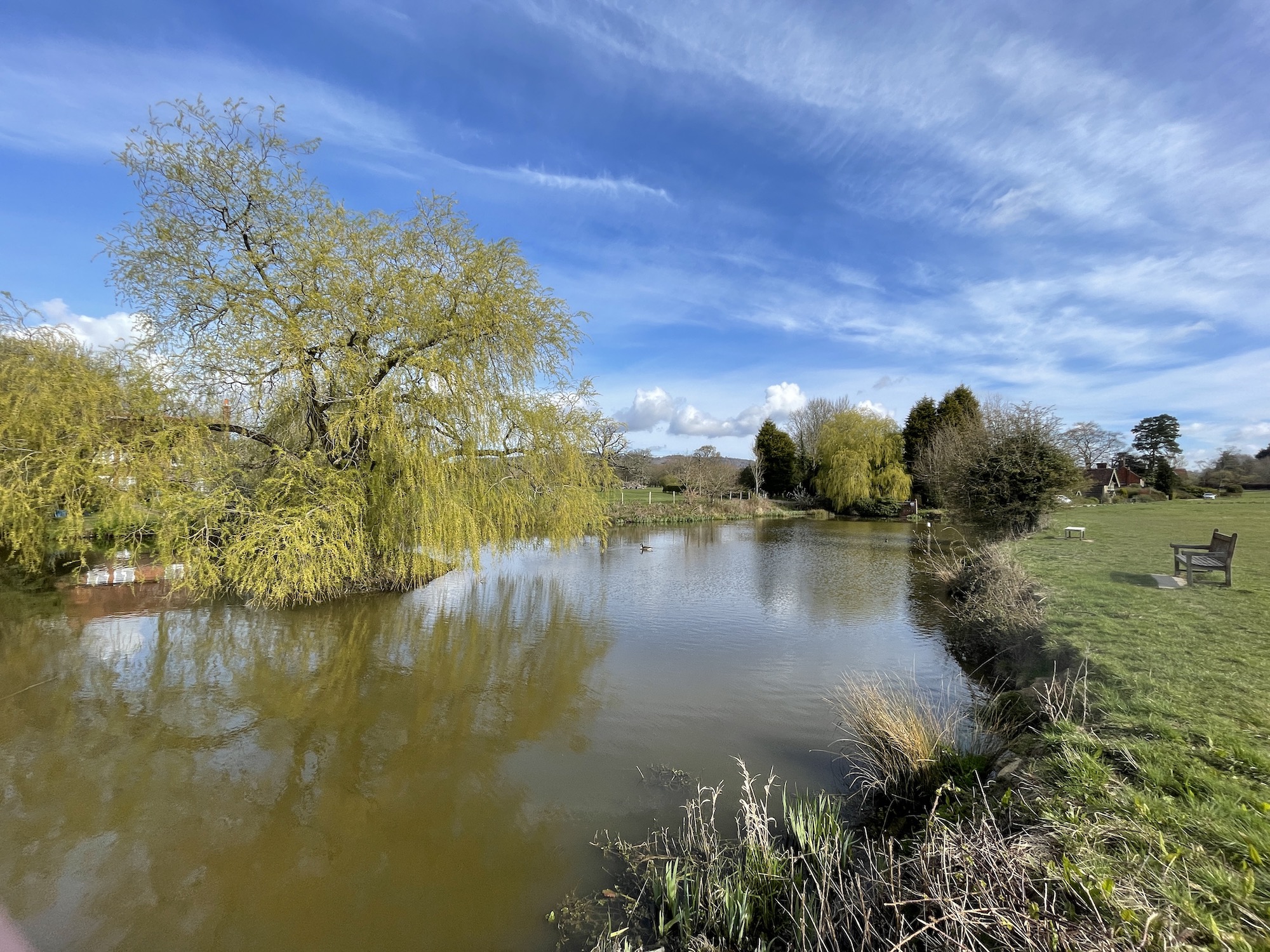 oneplus 9 pro vs apple iphone 12 pond sky