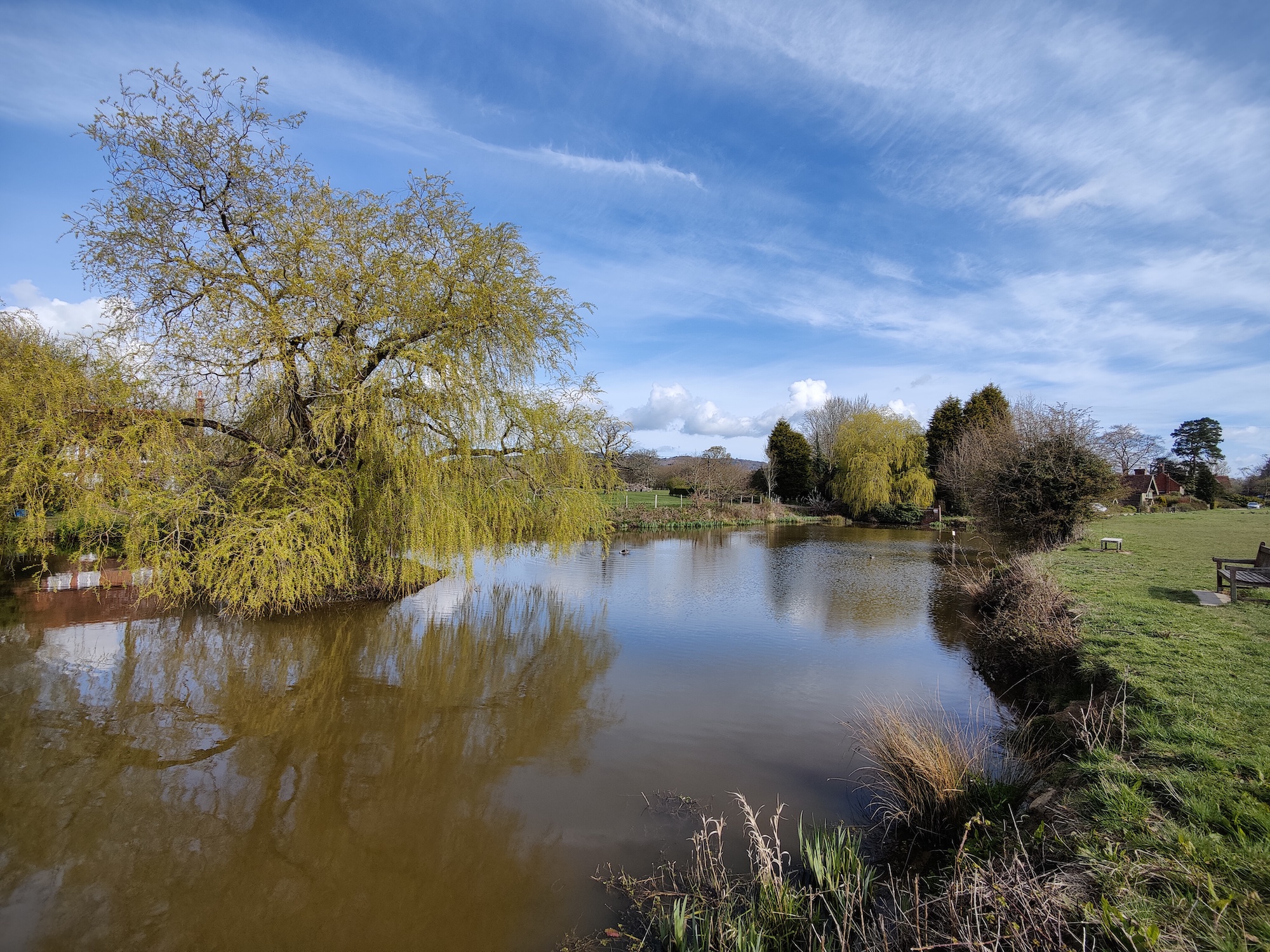 oneplus 9 pro vs apple iphone 12 pond sky