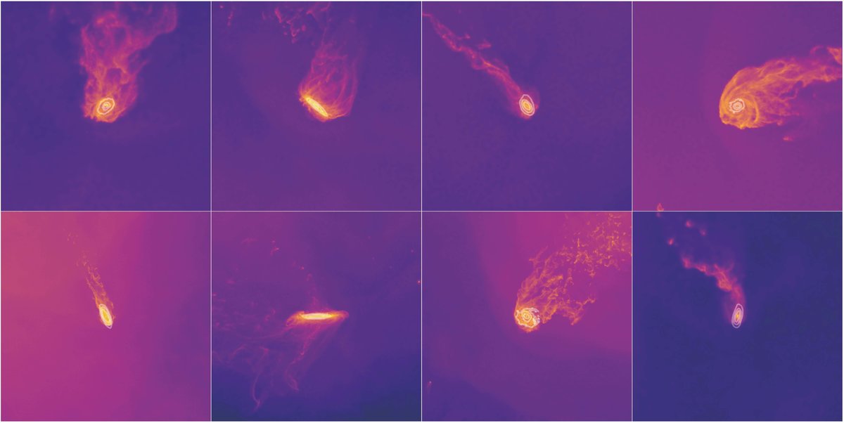 Eight examples for jellyfish galaxies. Images like these are presented to the participants of the new Zooniverse project for classification.