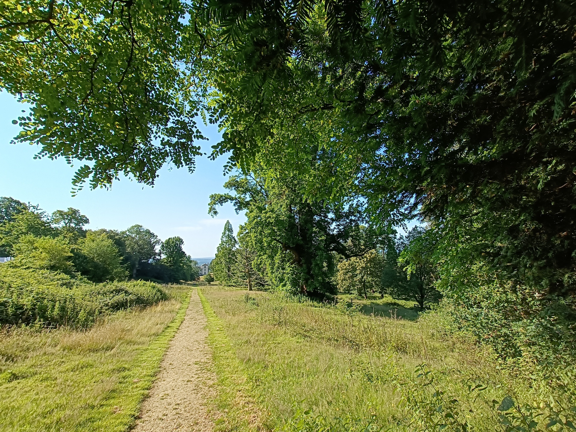 OnePlus Nord 2 wide-angle of a country scene.