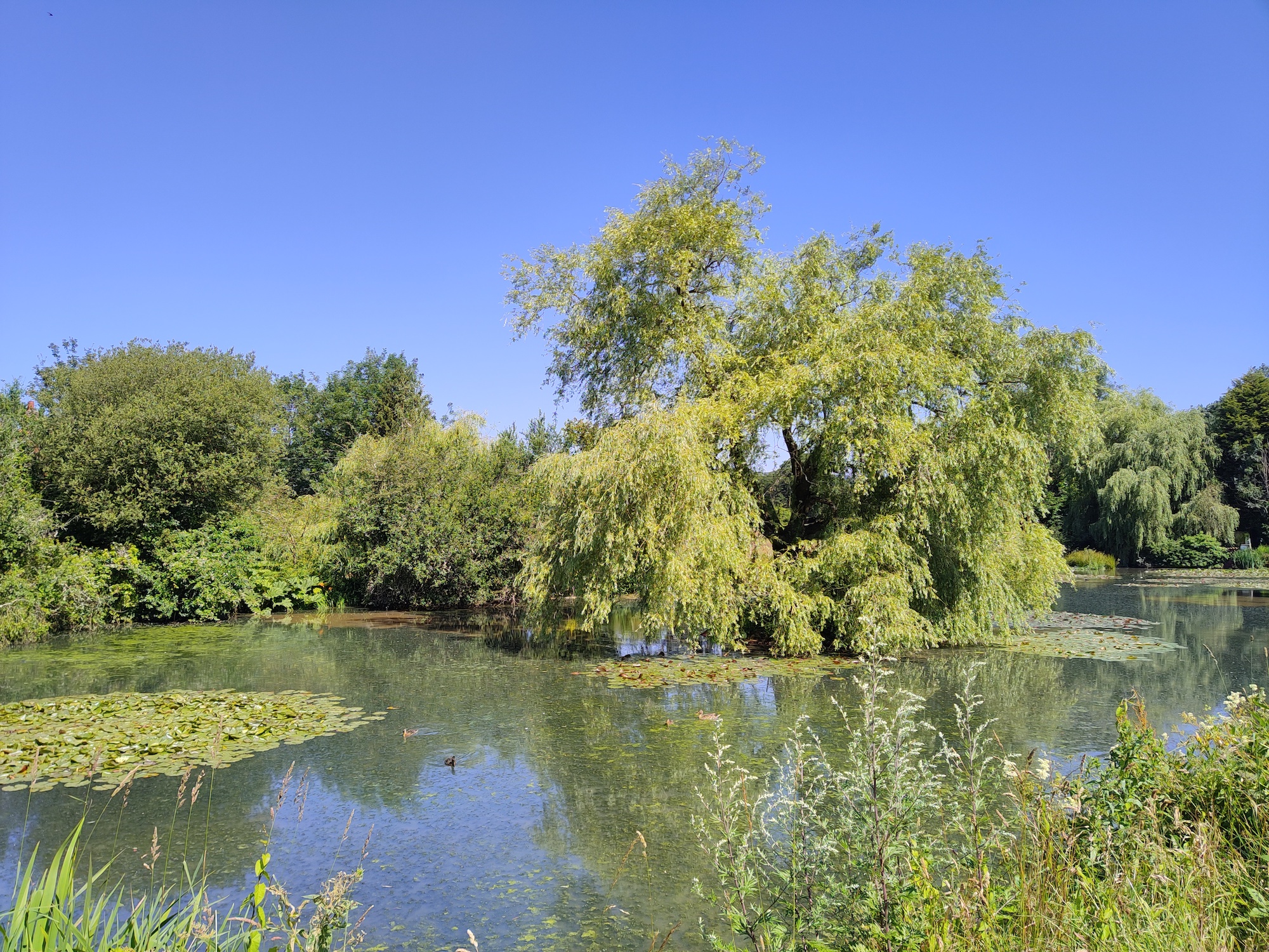 Photo of a country scene taken with the TCL 20 Pro 5G.