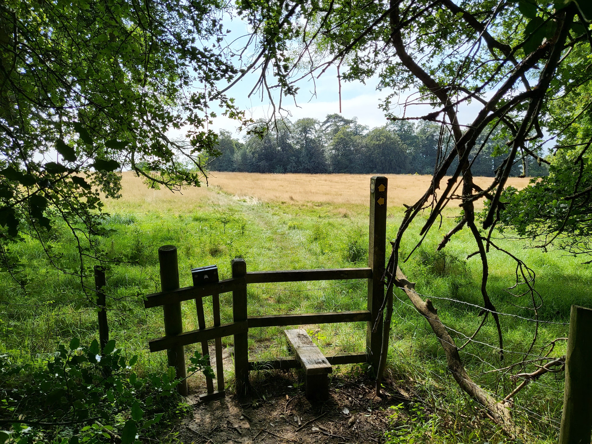 Shaded country scene photo taken with the Galaxy Z Flip 3.