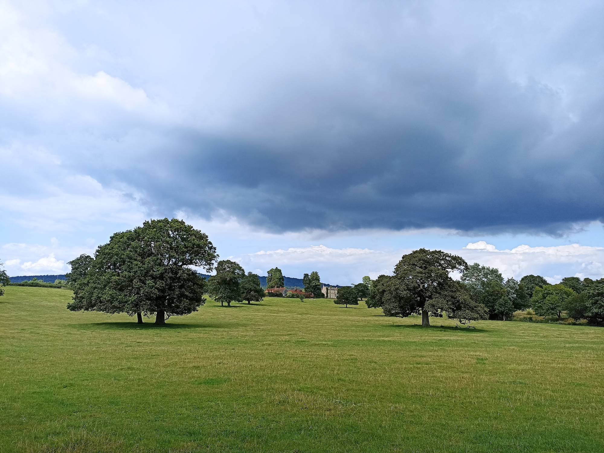 Clouds and tree photo taken with the Xiaomi Redmi Note 10S.