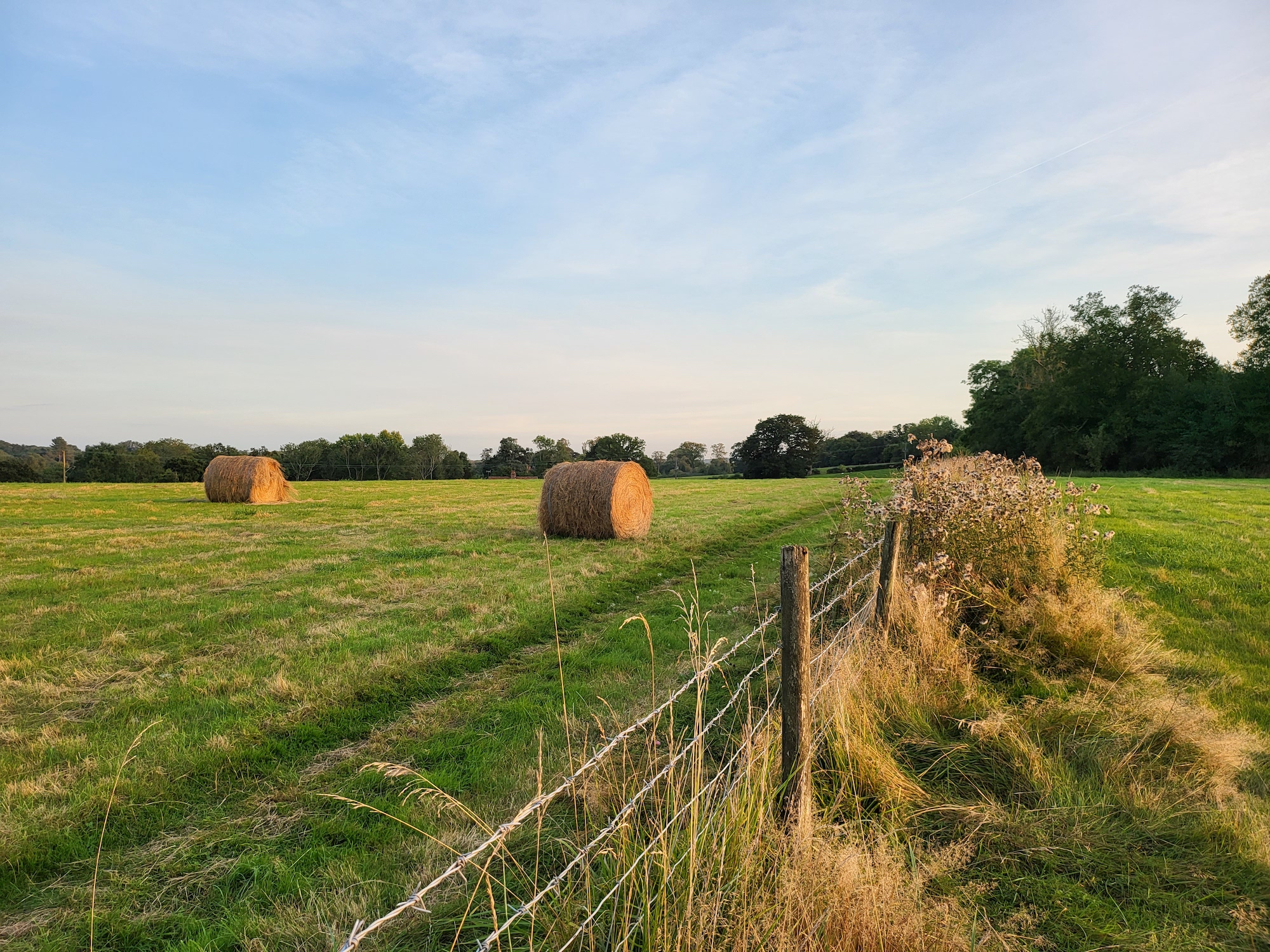 Photo of a hay bales taken with the Galaxy Z Fold 3.