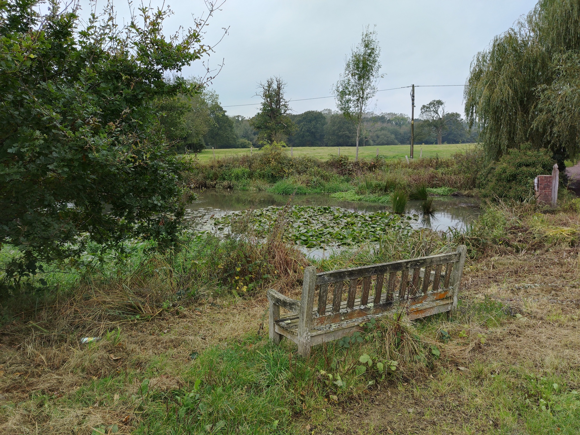 Photo of a bench taken with the Realme GT Neo2.