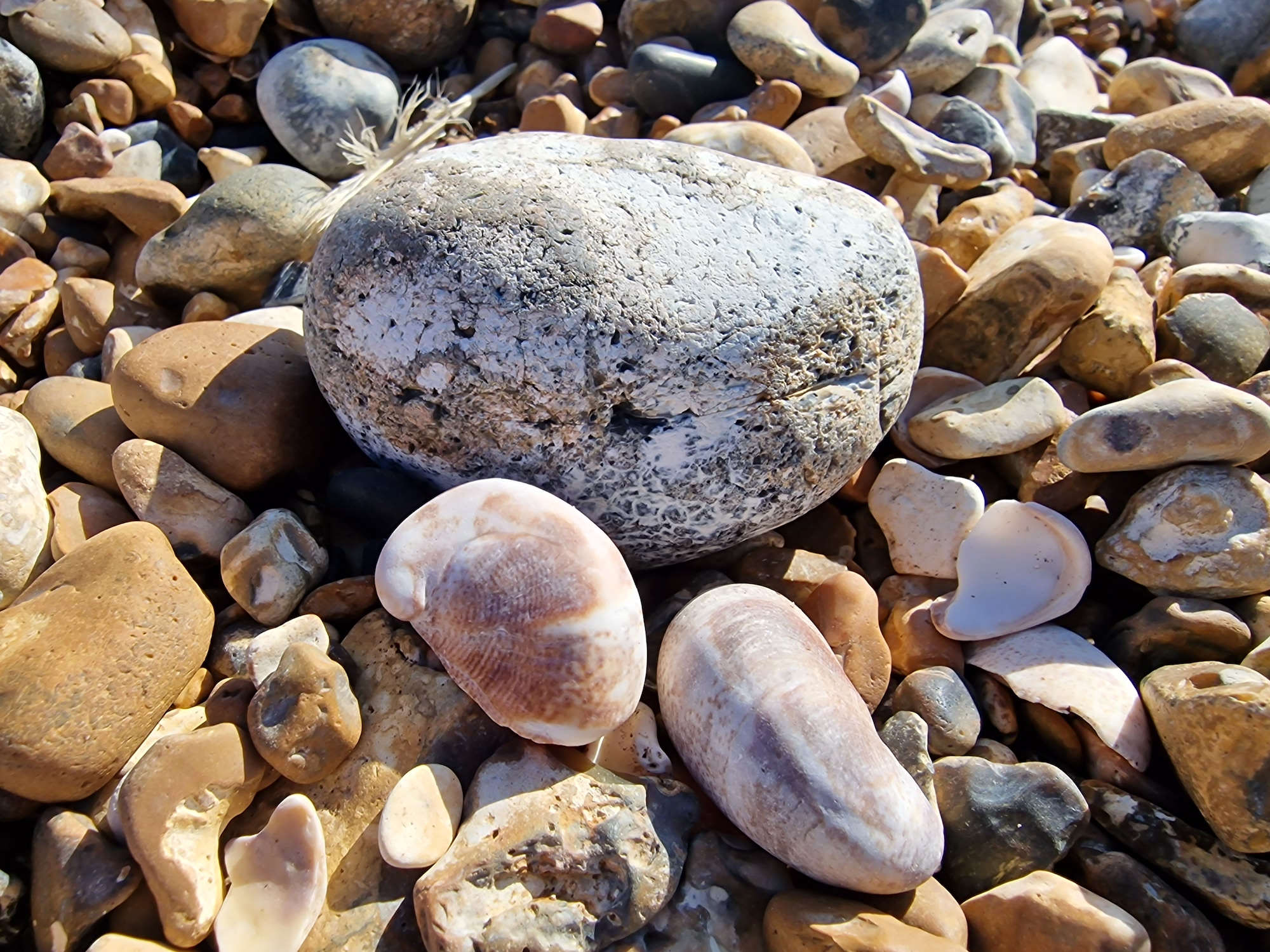 Photo of a stone taken with the Galaxy S22 Ultra.