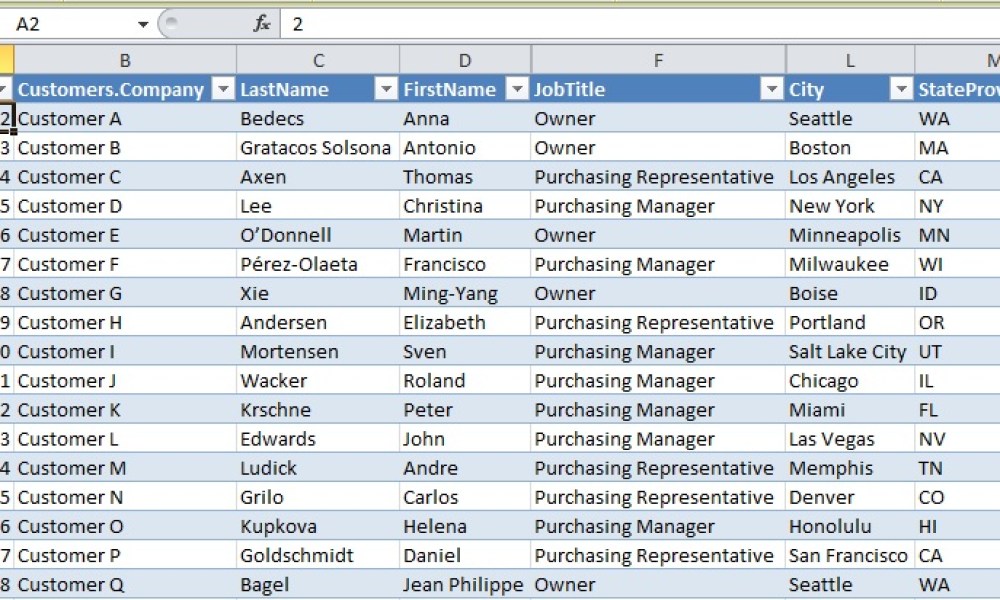 An Excel employee database.