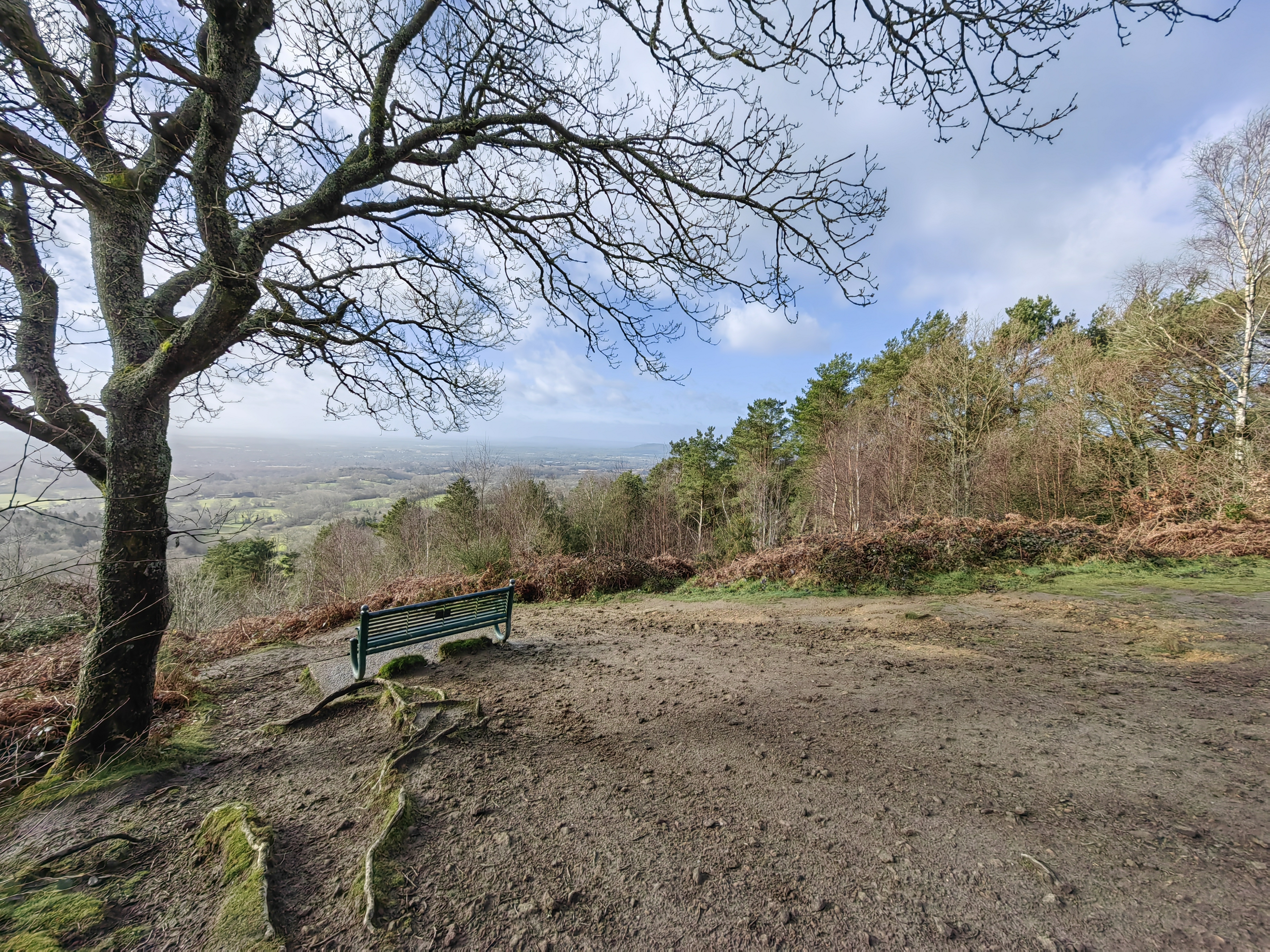 Wide-angle photo taken with the Huawei P50 Pro.