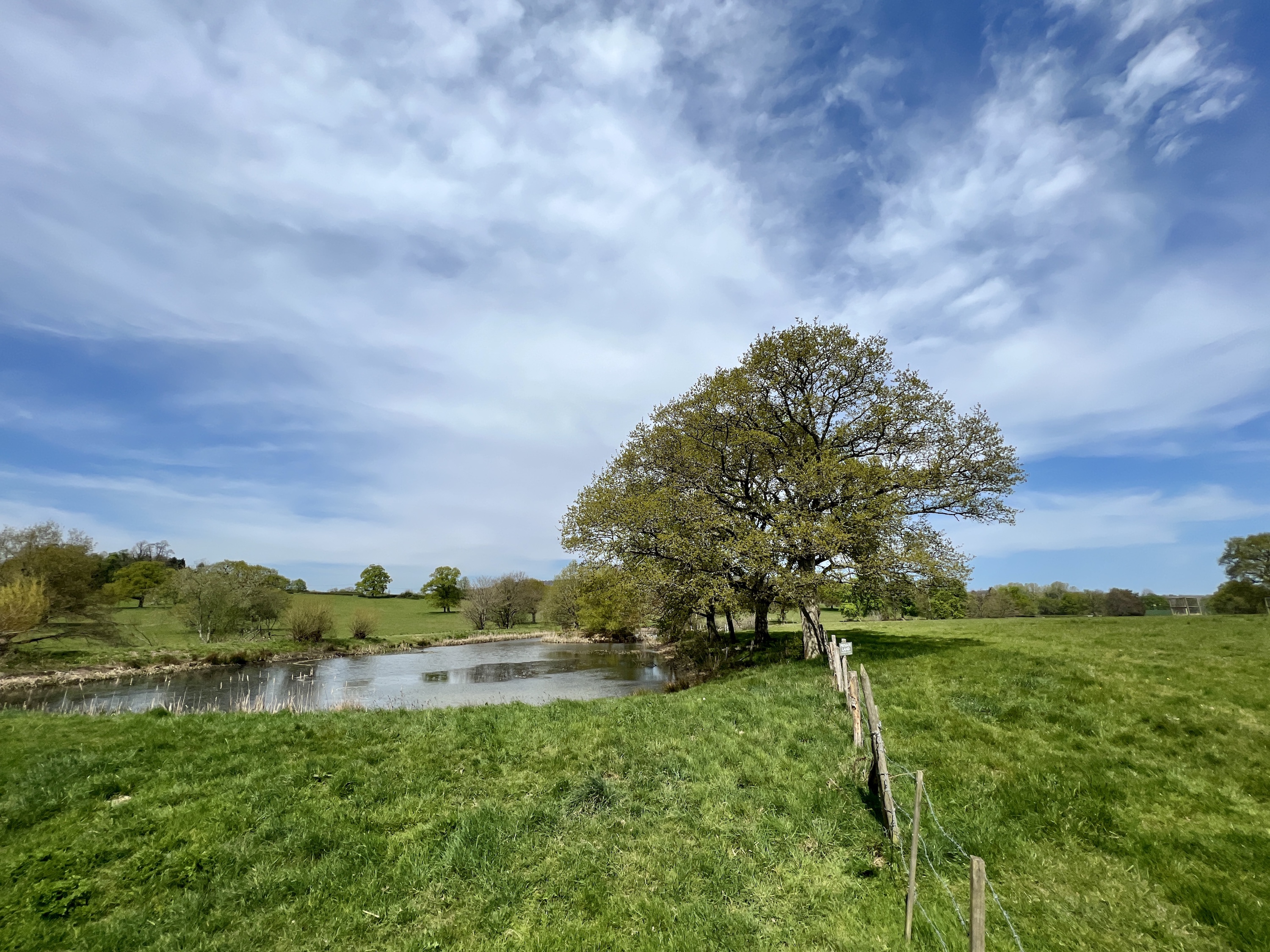 iPhone 13 Pro photo of a field shot using the wide-angle camera.