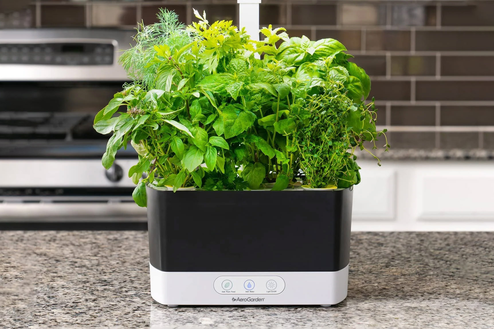 The AeroGarden Harvest with a full crop of plants.