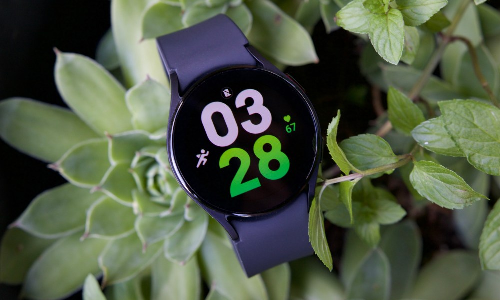 The Samsung Galaxy Watch 5 sitting on a succulent.