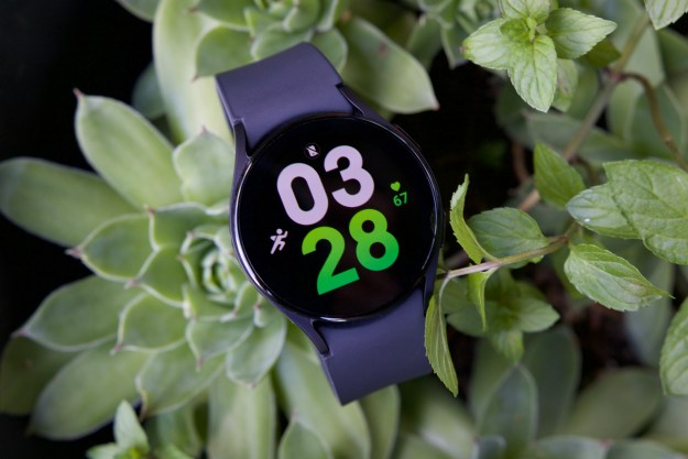 The Samsung Galaxy Watch 5 sitting on a succulent.