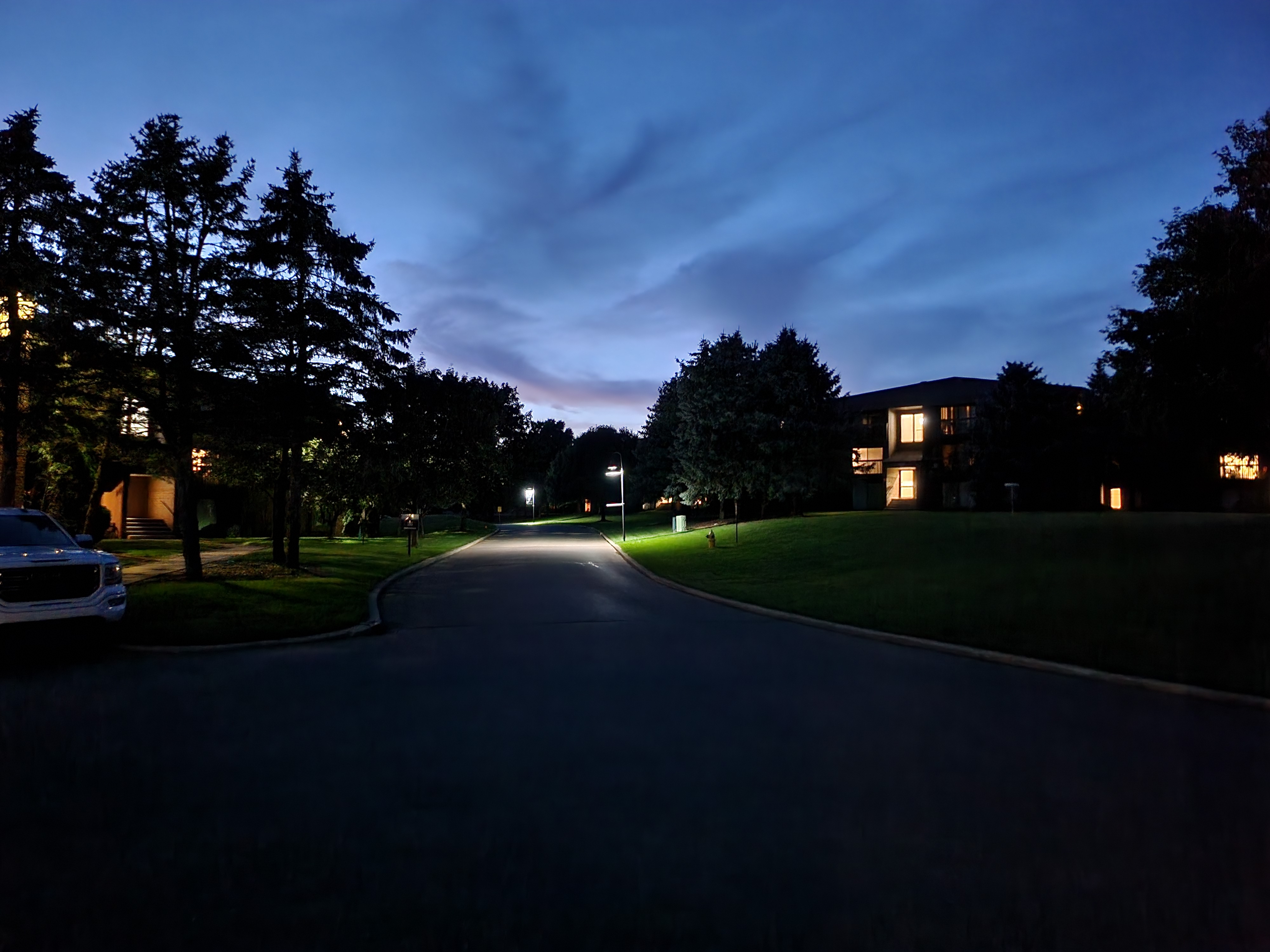 Photo of trees and the sky late at night.