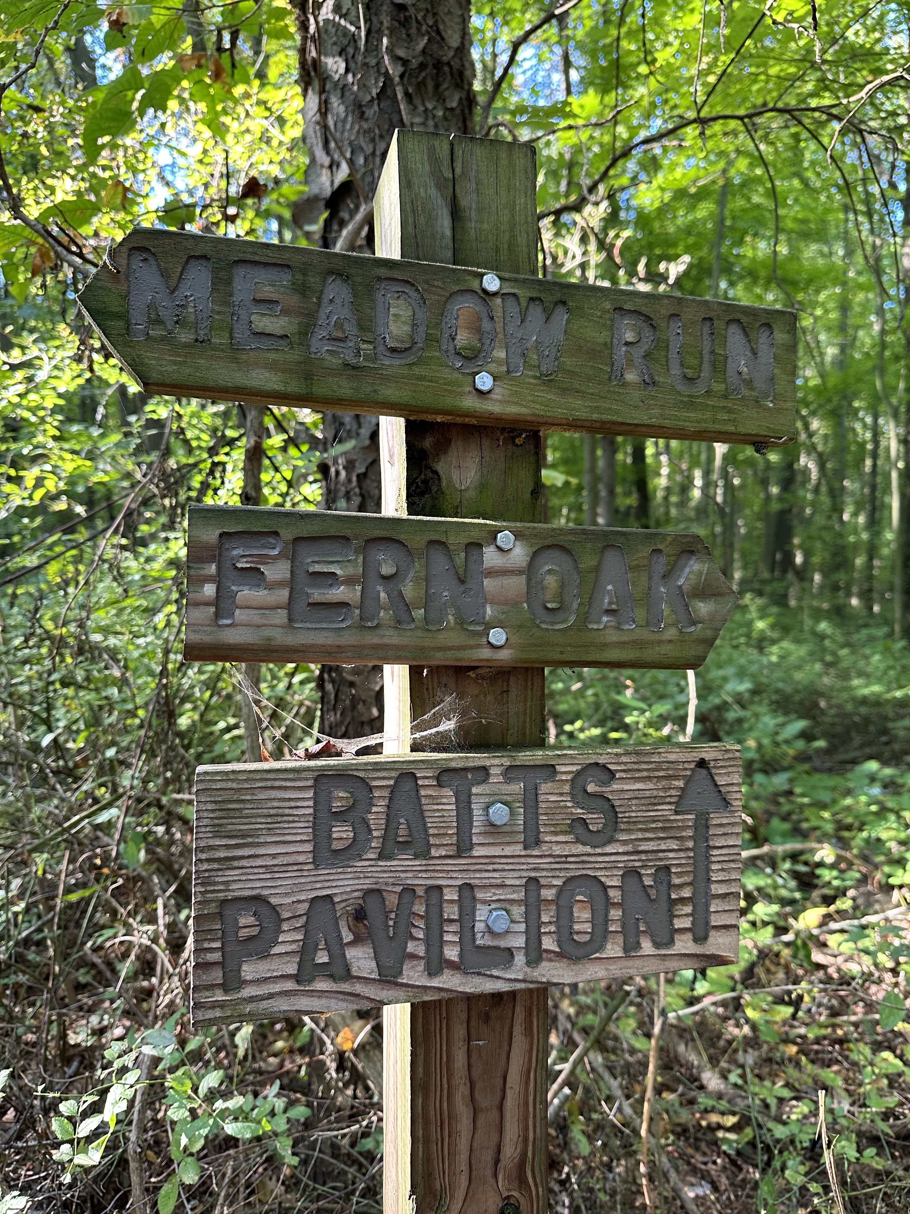 Photo of a wooden sign on a nature trail, taken with the iPhone 14 Pro Max.