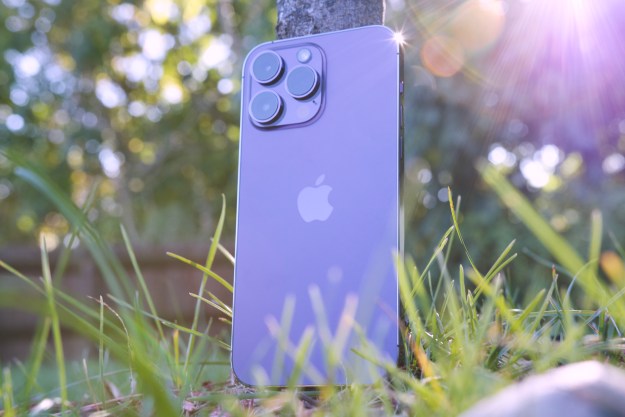 iPhone 14 Pro Max standing against a tree.