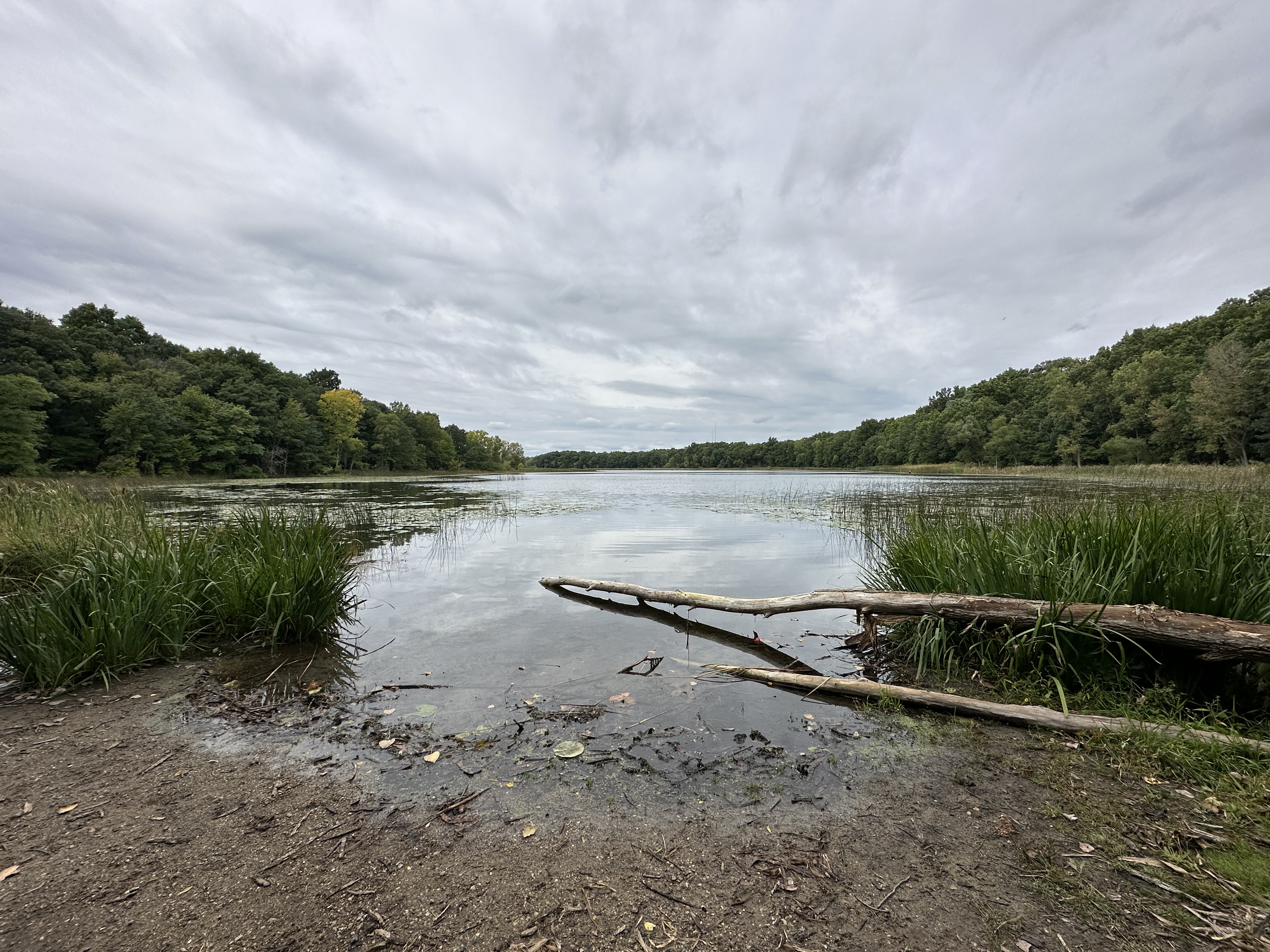 A photo of a lake and trees, taken with the iPhone 14 Pro Max.