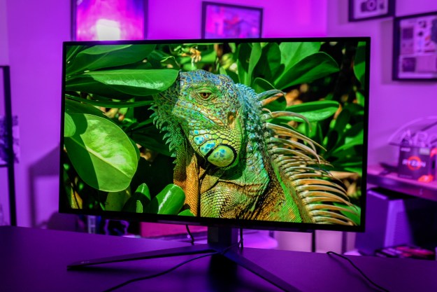 A lizard on the LG UltraGear OLED 27.