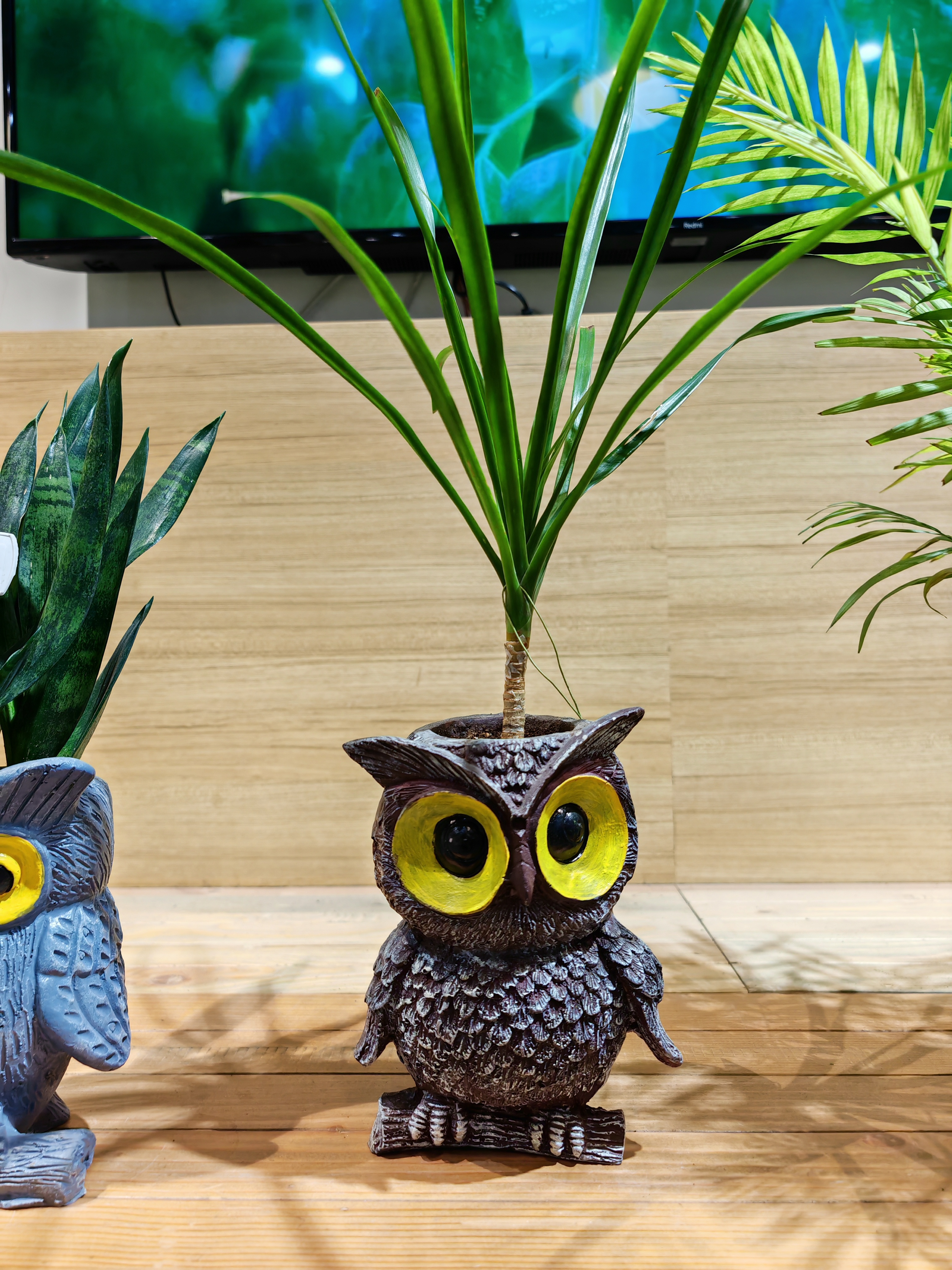 Owl pot.