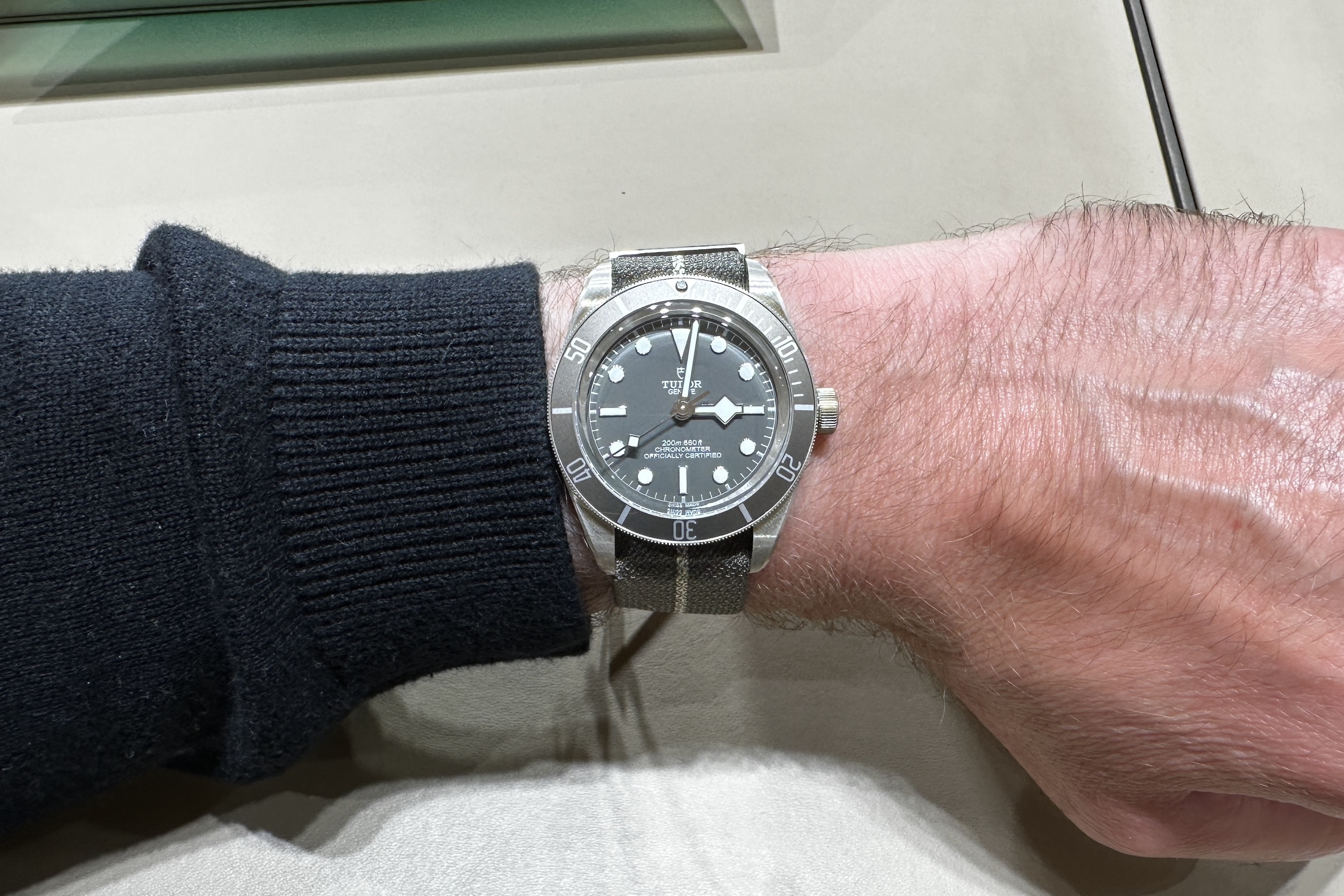 A Tudor Black Bay 39mm on a person's wrist.