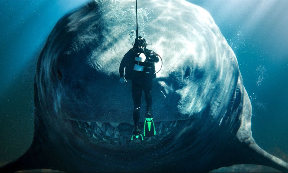 A giant shark swims up to a tiny diver.