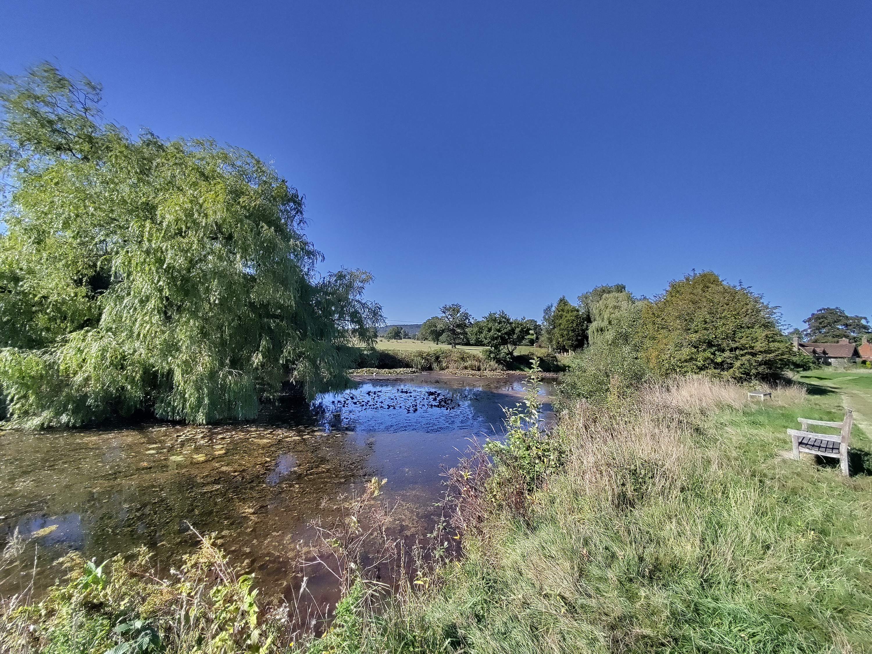 A photo taken with the Fairphone 5's wide-angle camera.