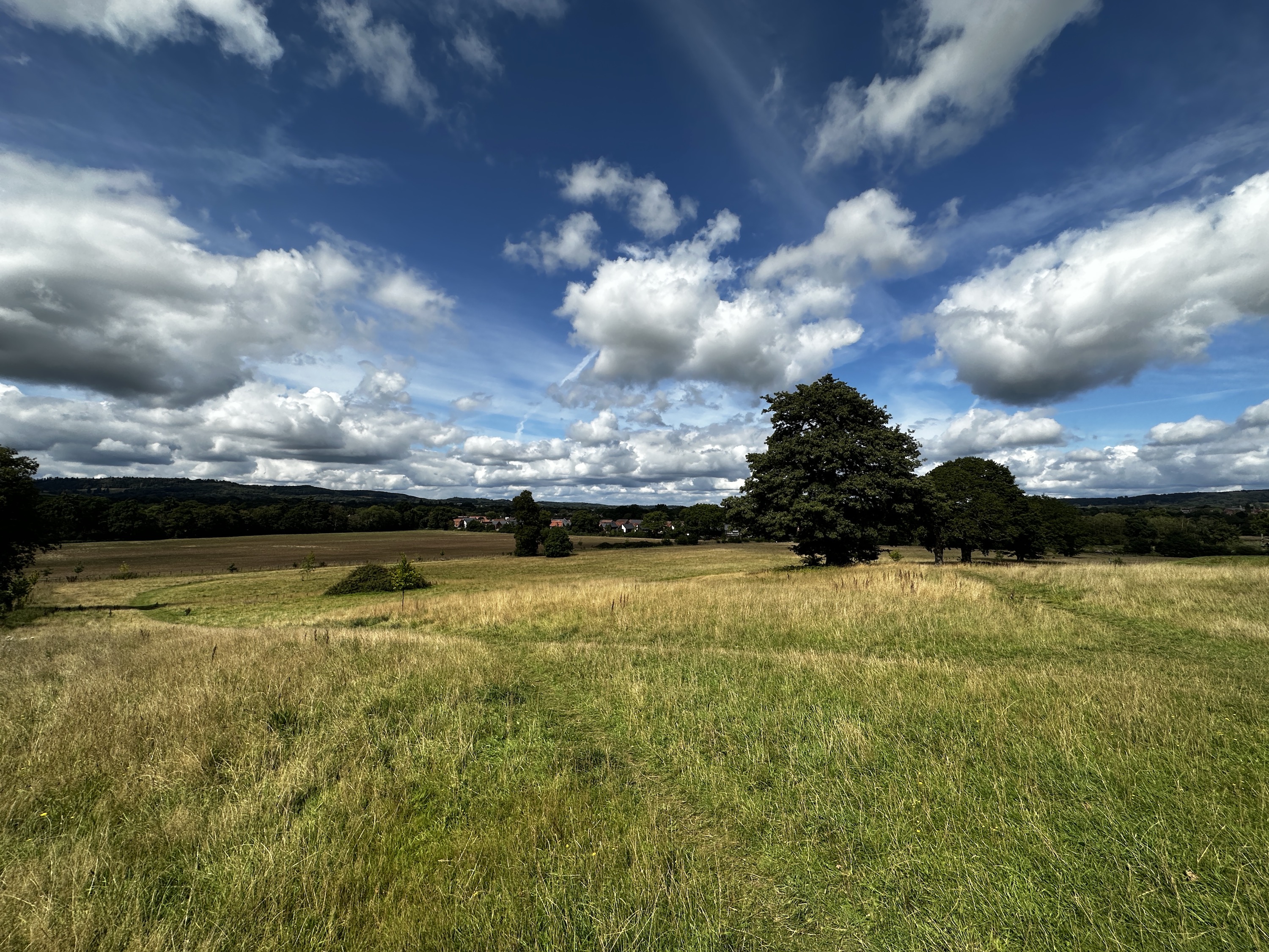 A wide-angle photo taken with the Apple iPhone 14 Pro.