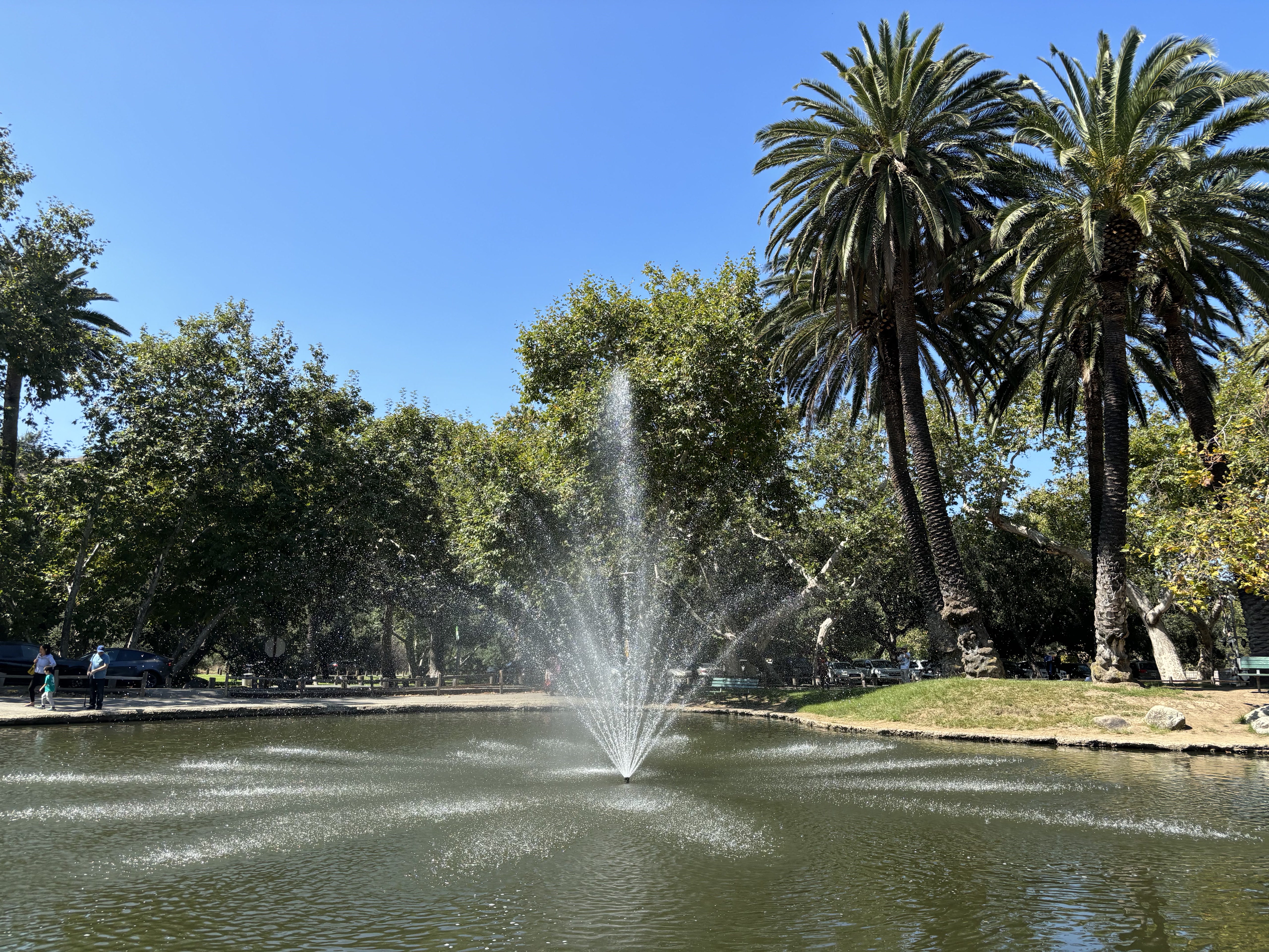 Fountain in a lake at a park taken with iPhone 15.