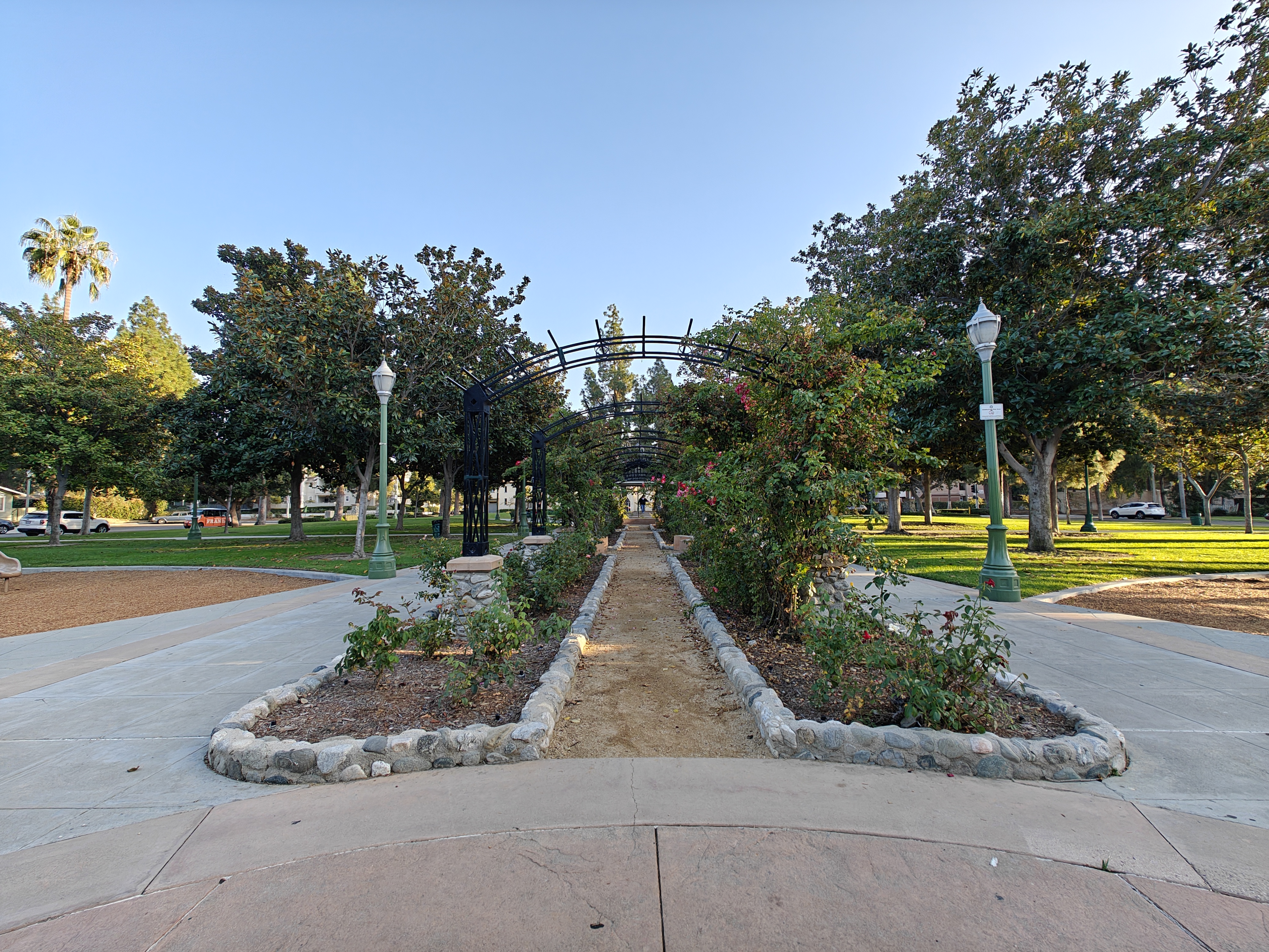 Ultrawide shot of rose garden at park taken on OnePlus Open.