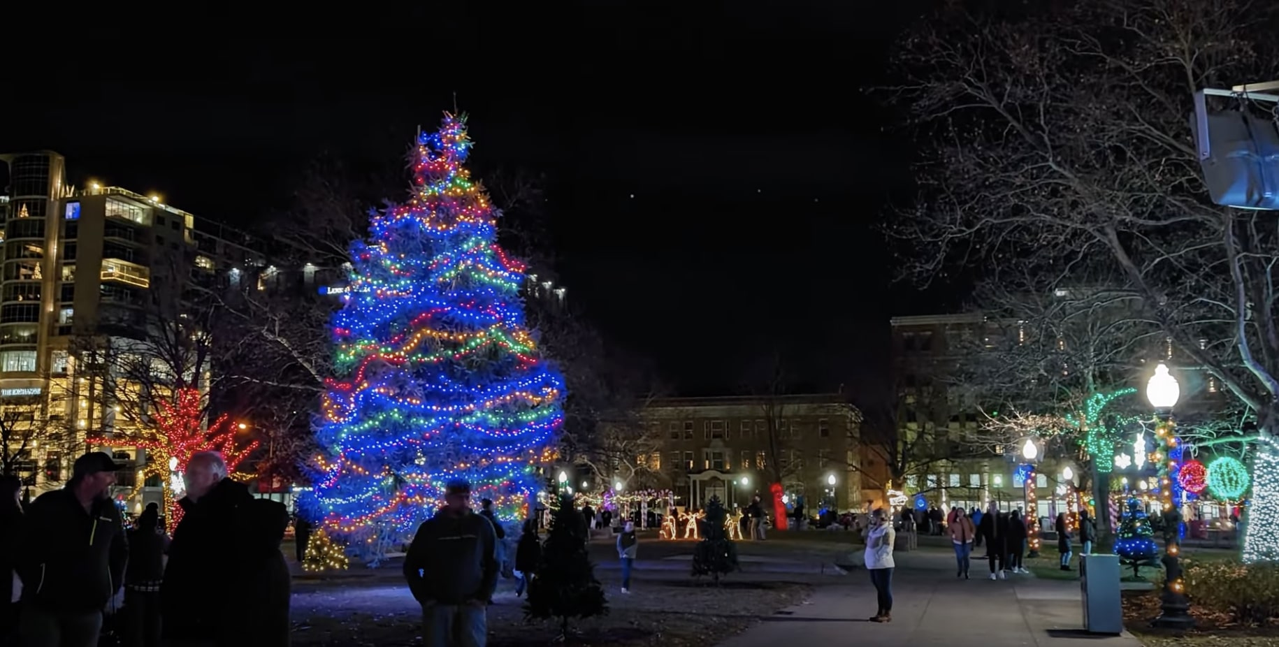 Christmas lights recorded on Google Pixel 8 Pro with Video Boost Night Sight on.