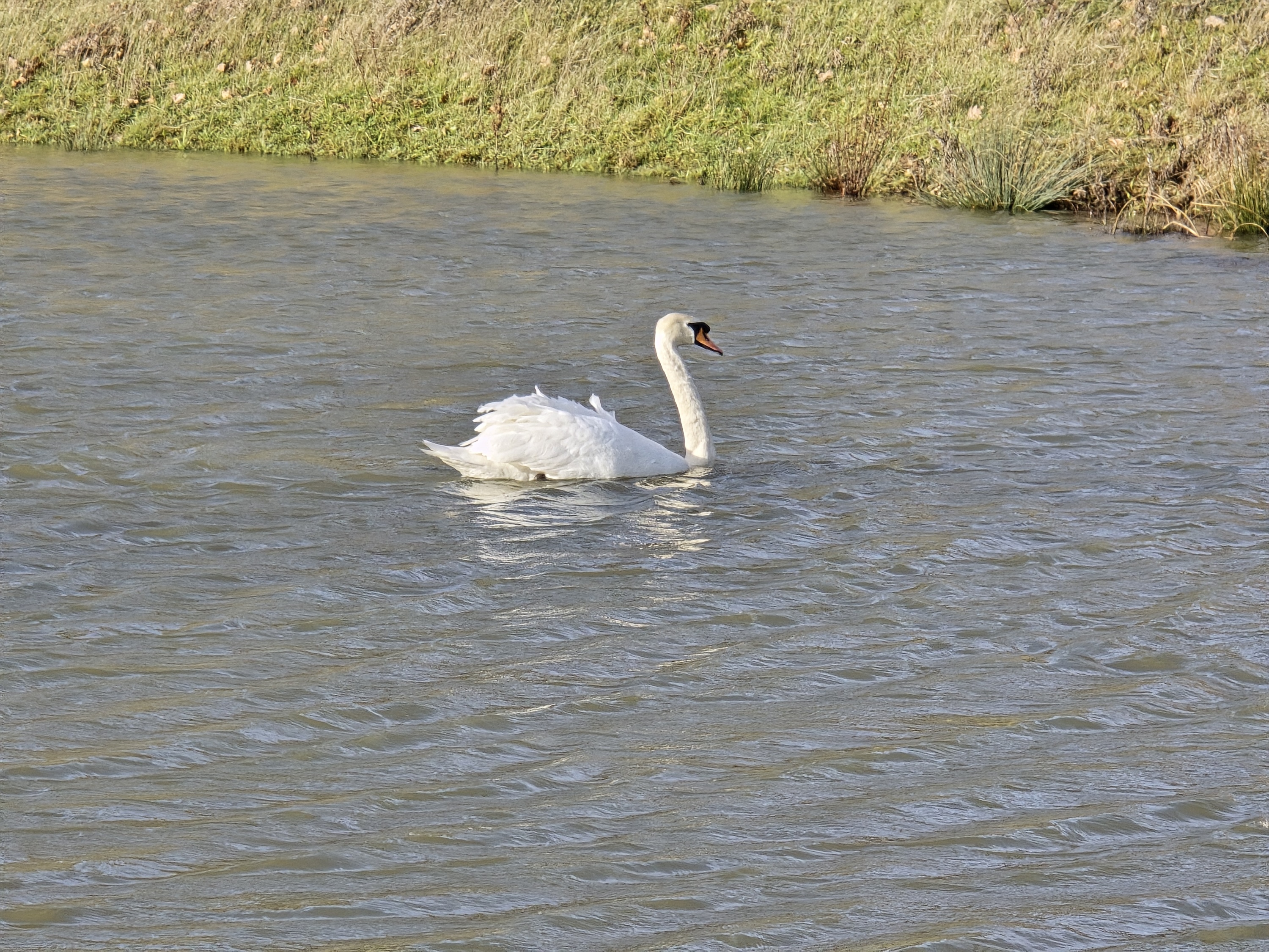 A photo taken with the Editing a photo using the Samsung Galaxy S24 Ultra's main camera at 30x zoom