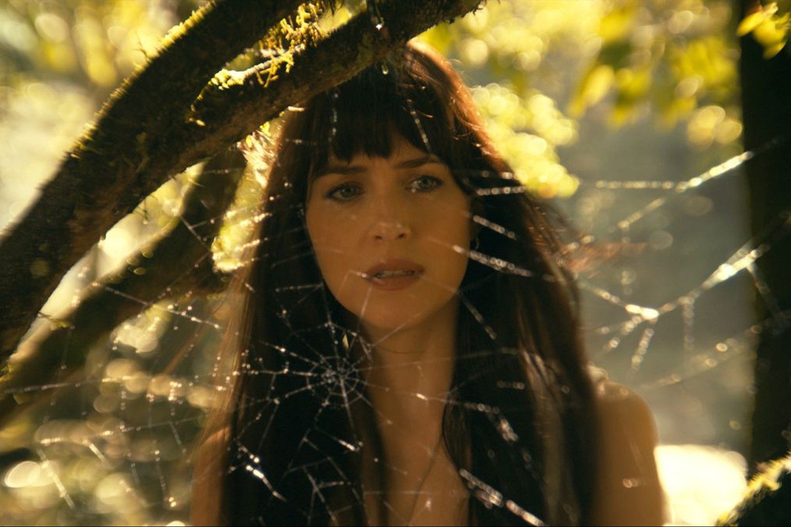 Dakota Johnson looks through a spiderweb in an image from Madame Web