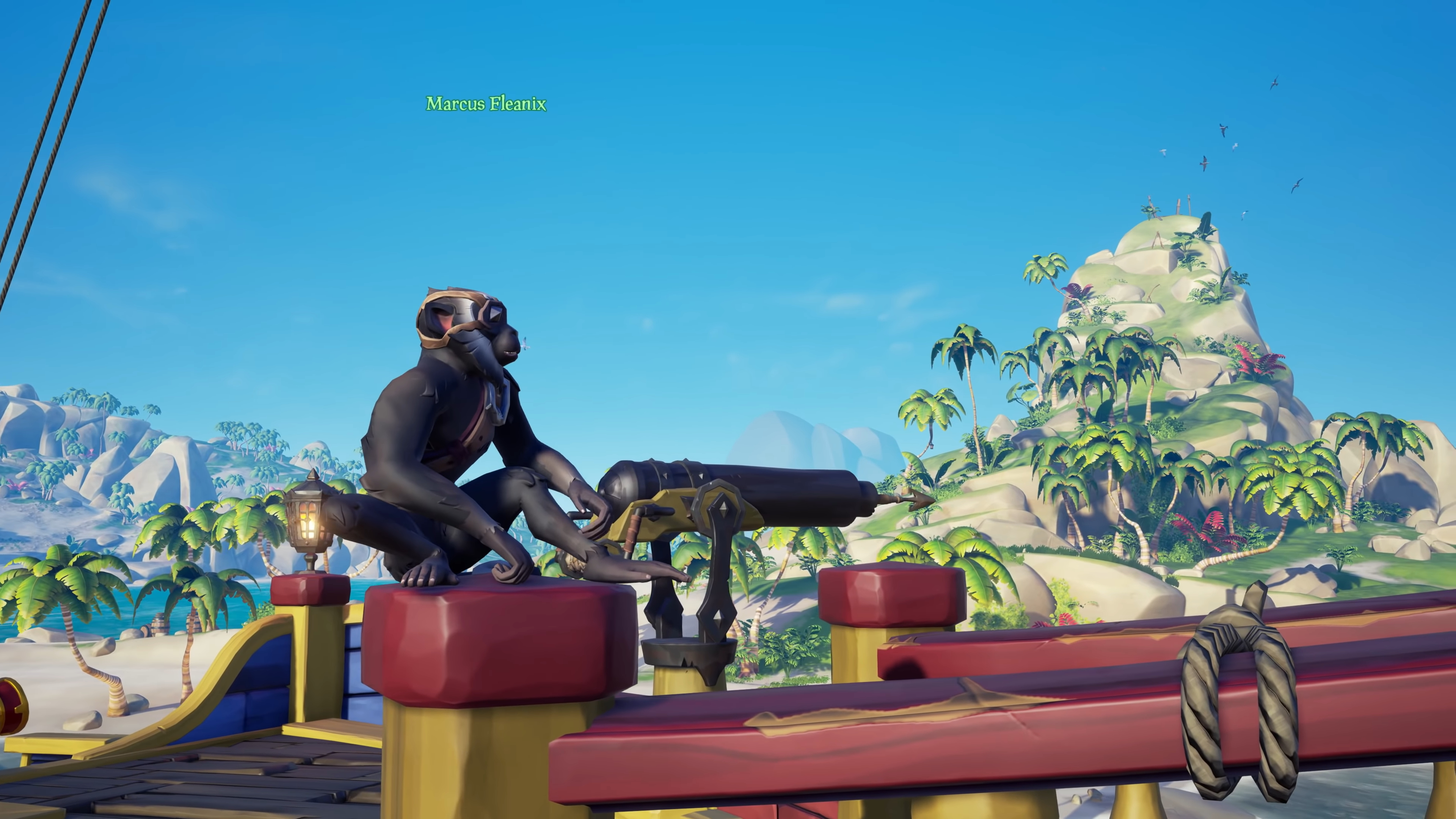 sea of thieves pets