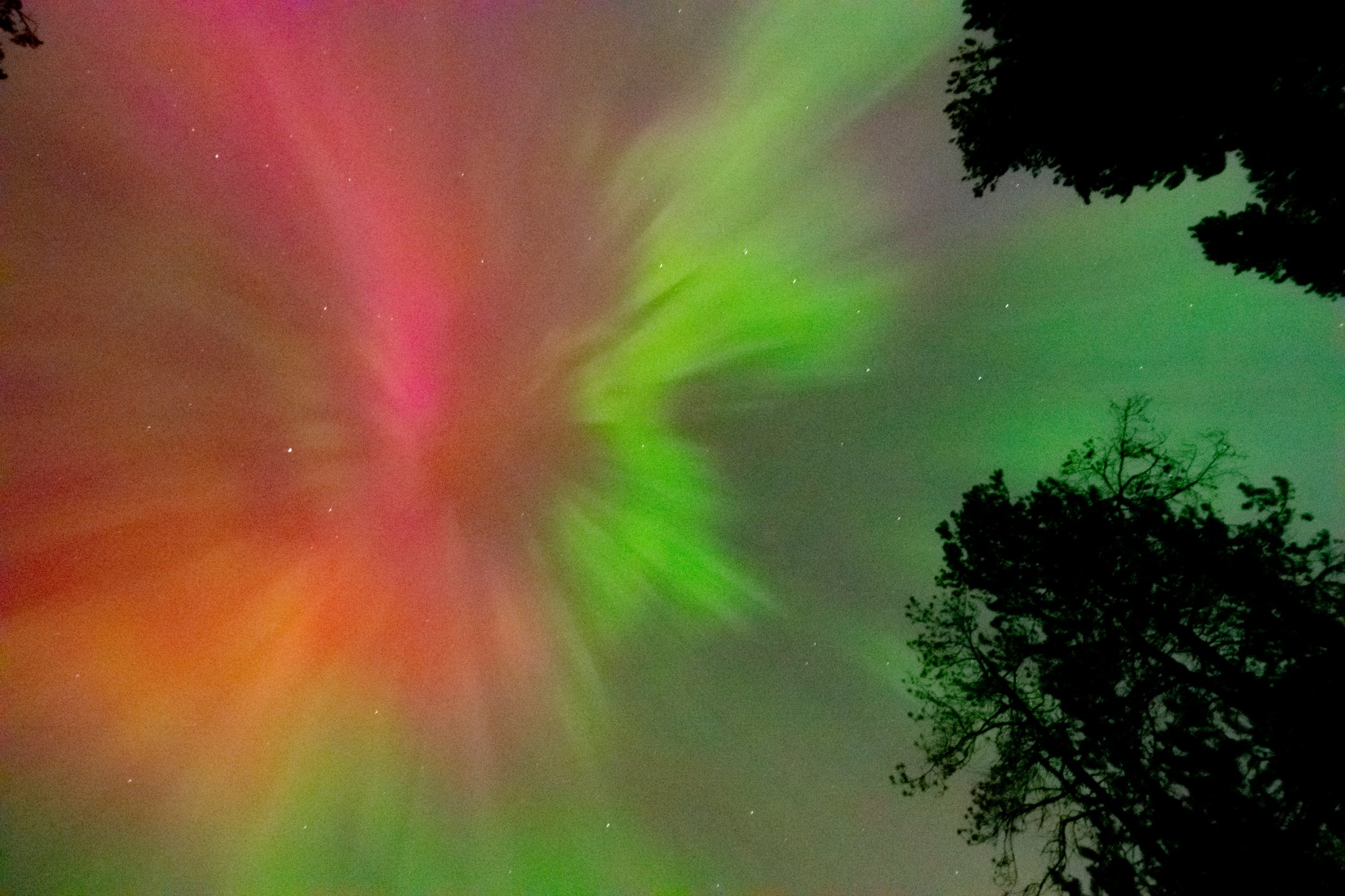 A coronal aurora appeared over southwestern British Columbia on May 10, 2024.