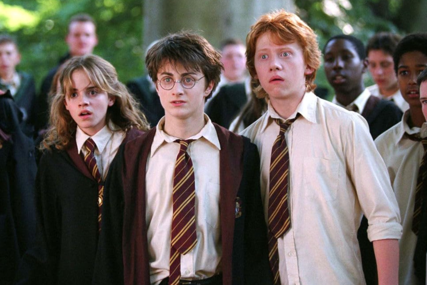 Harry, Hermoine, and Ron stand next to each other in a line.