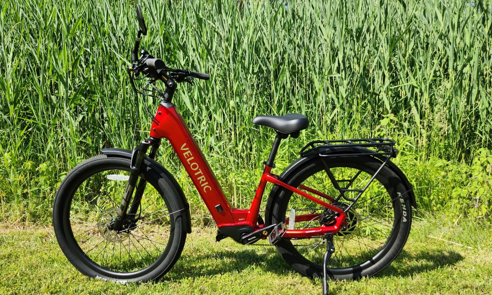 Velotric Discover 2 left profile view with parked by a pond with tall aquatic grasses.