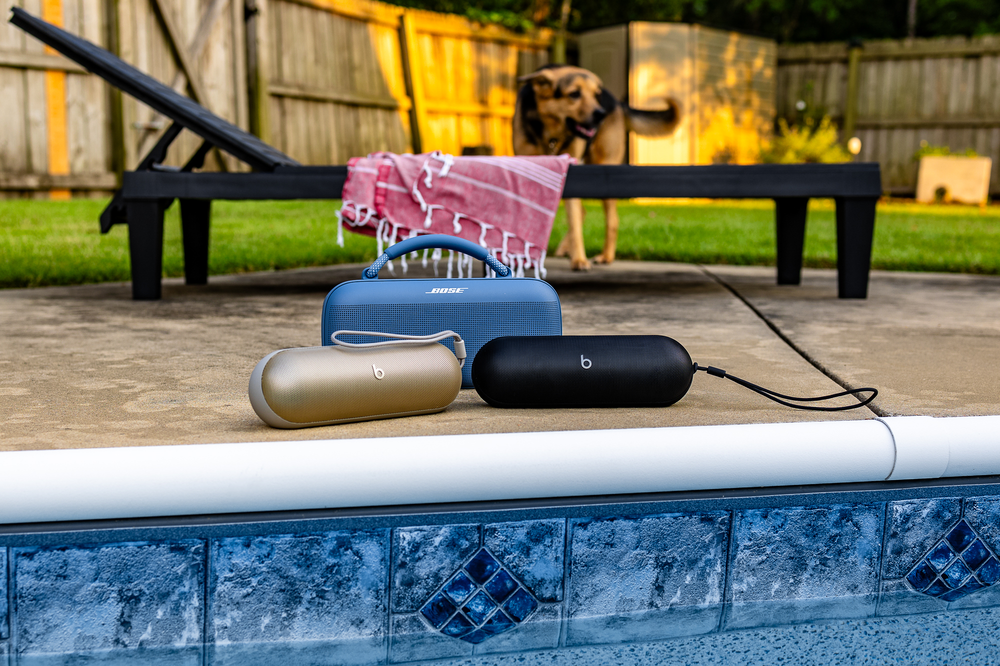 A pair of Beats Pill speakers with the Bose SoundLink Max. Dog for scale.